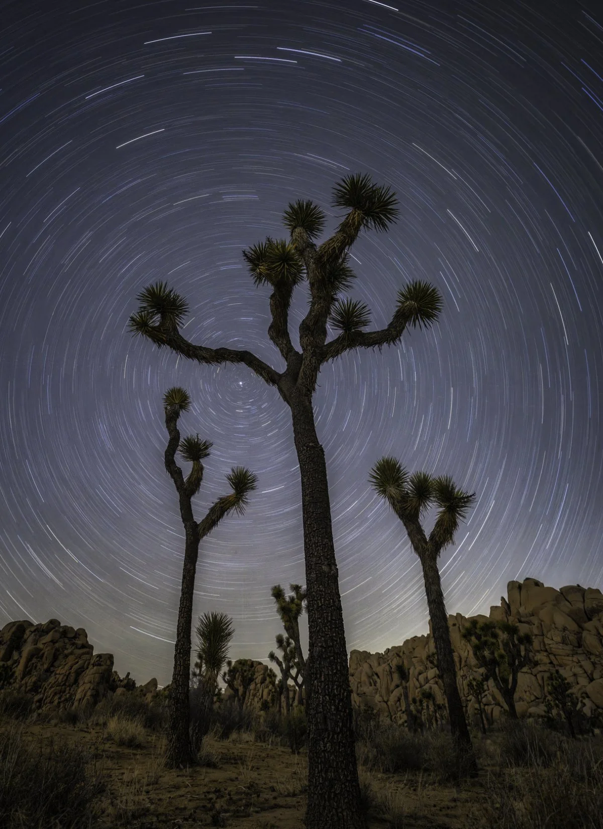 star trail 2 8x11.jpg