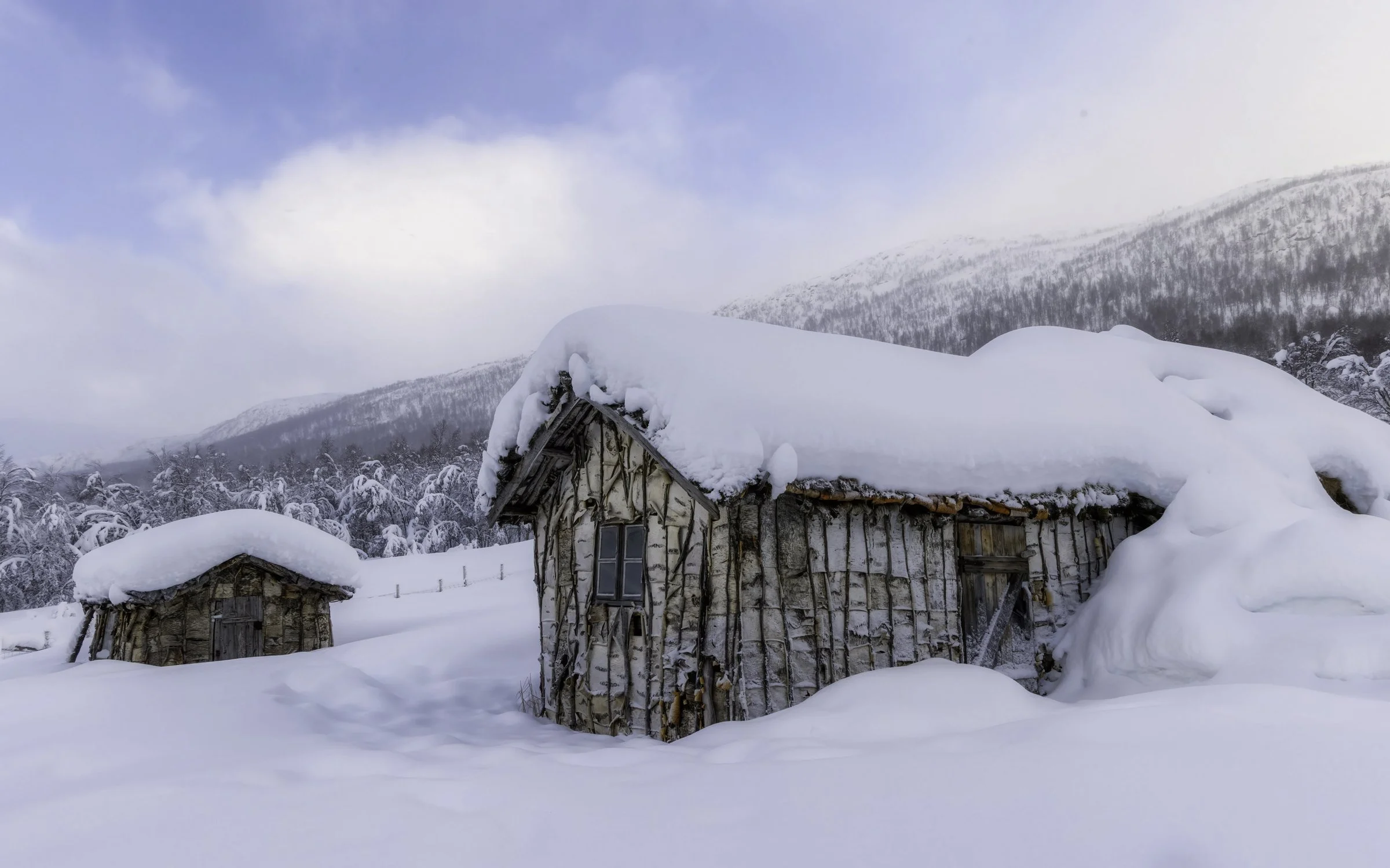 birch house 2 16x10.jpg