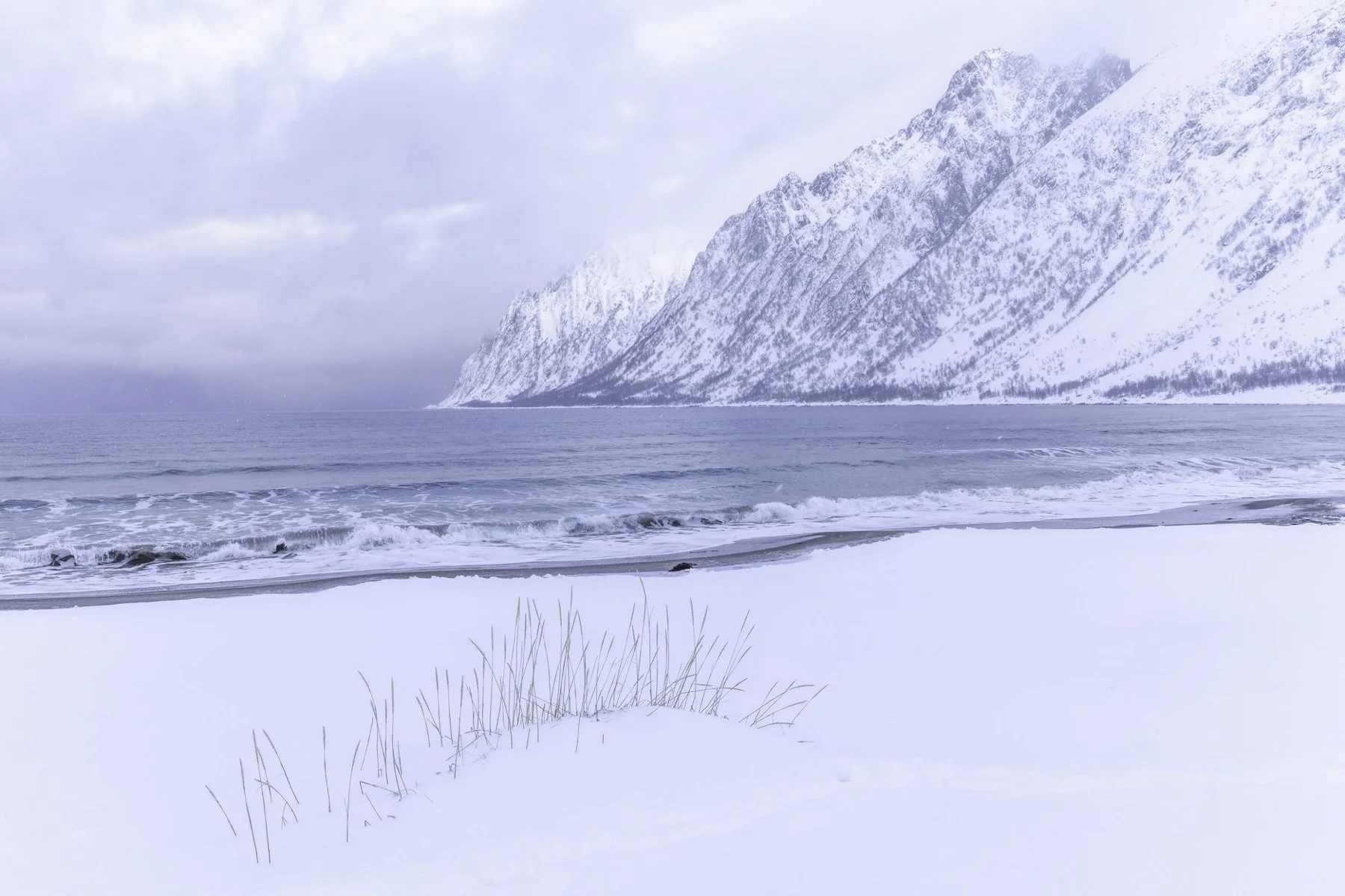 bright snow 1 4x6.jpg