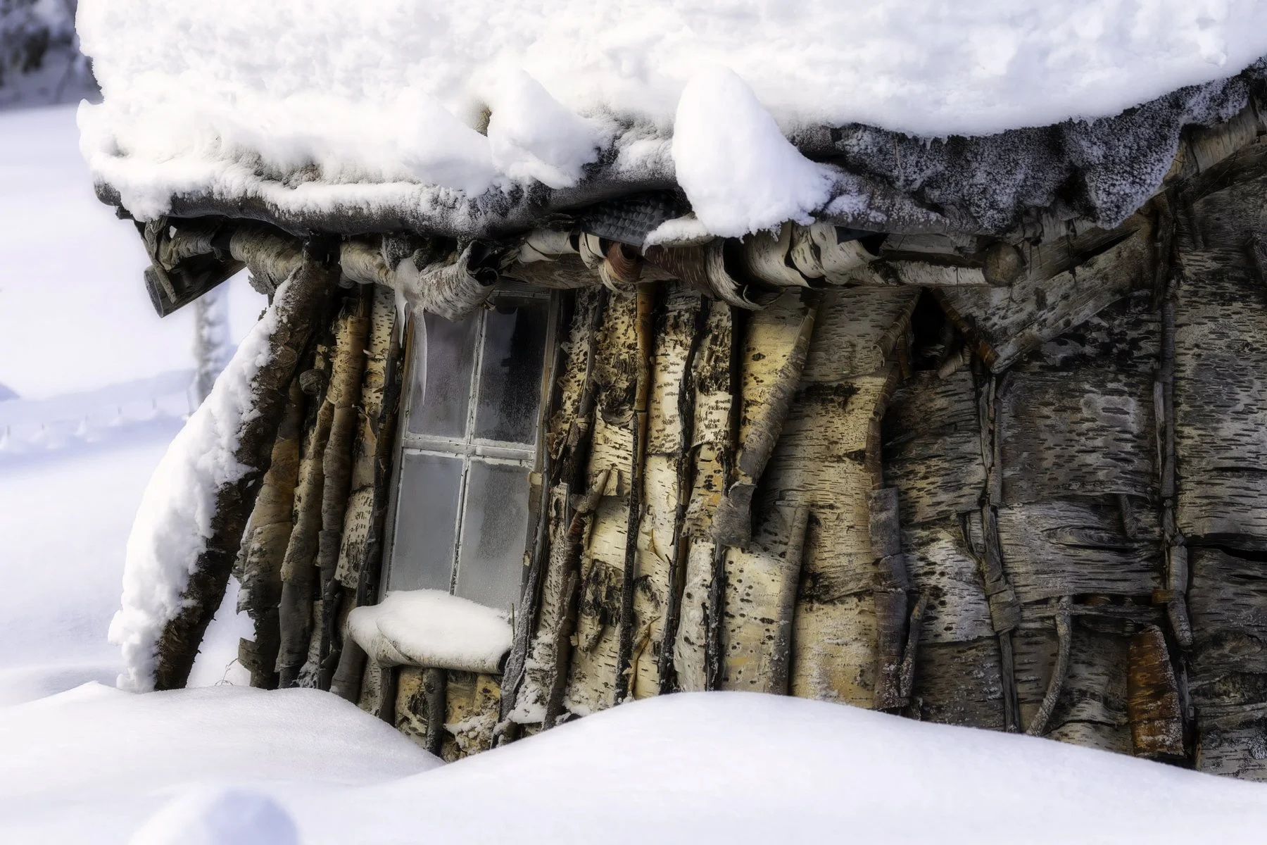snowy birch house 1 4x6.jpg