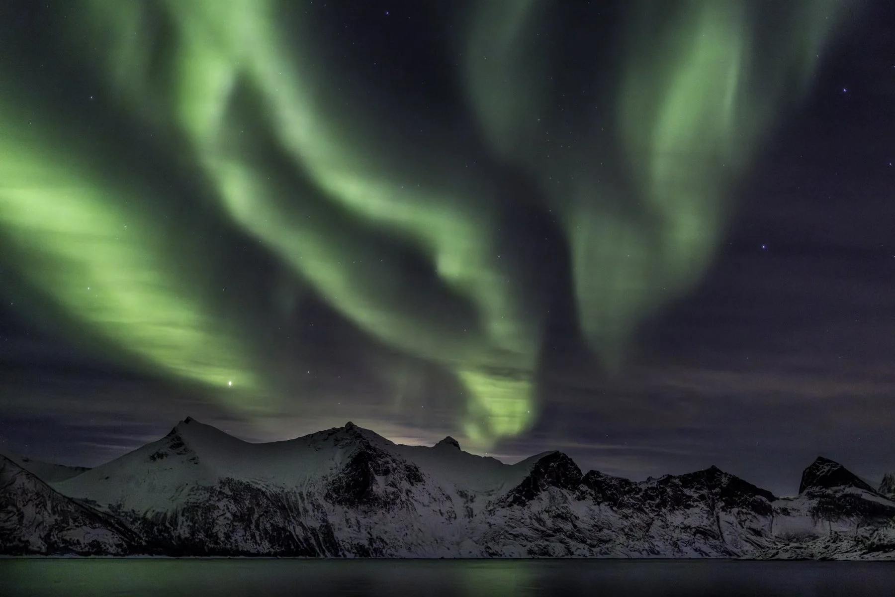 aurora last 2 4x6.jpg