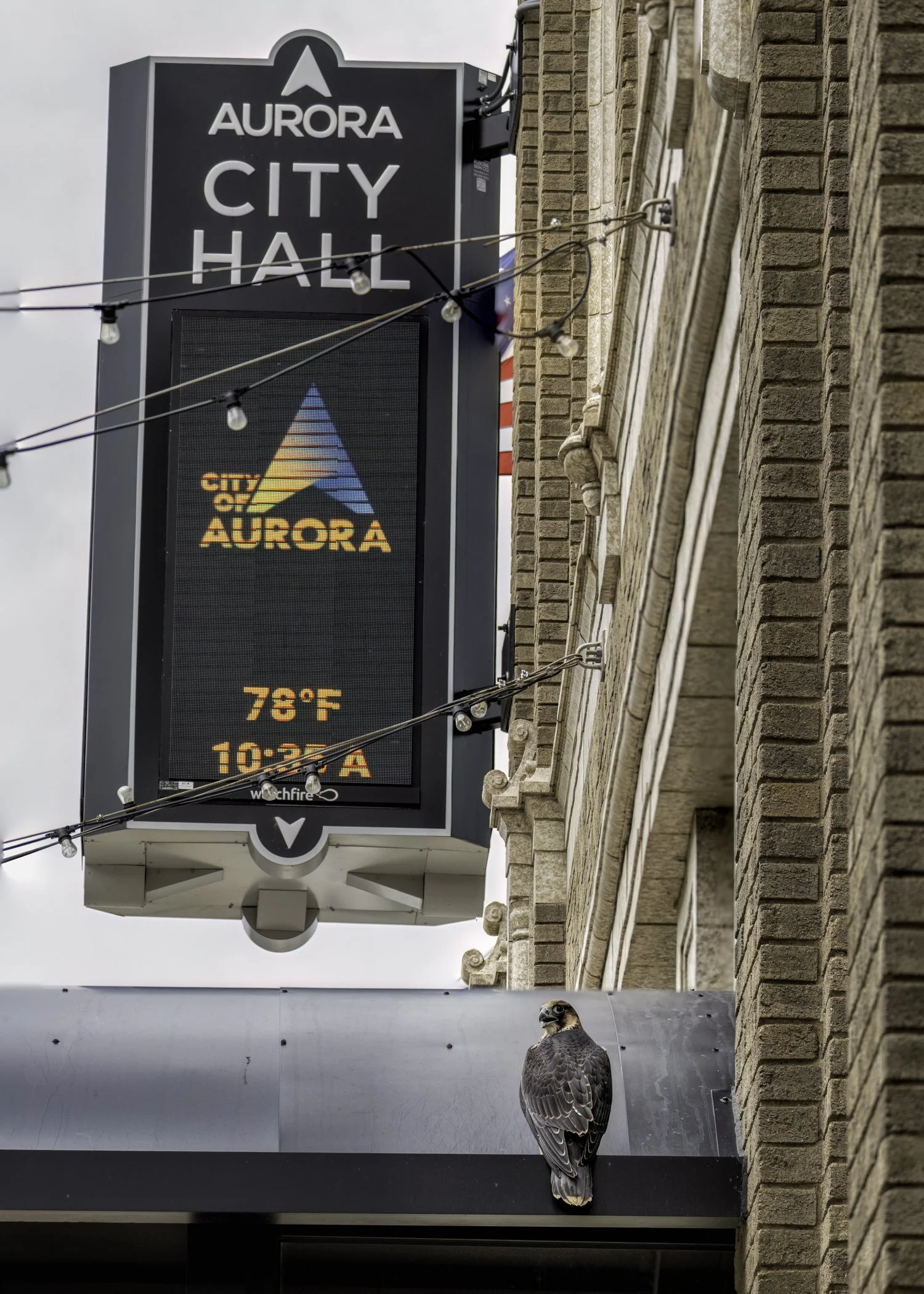 Aurora & city hall sign.jpg
