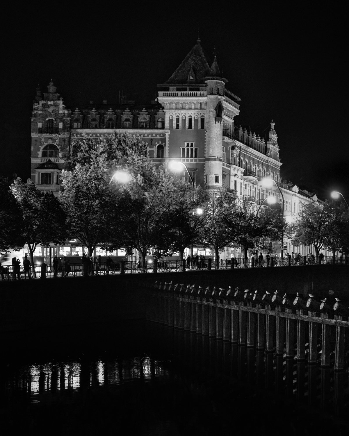 gulls and castle bw 4x5.jpg