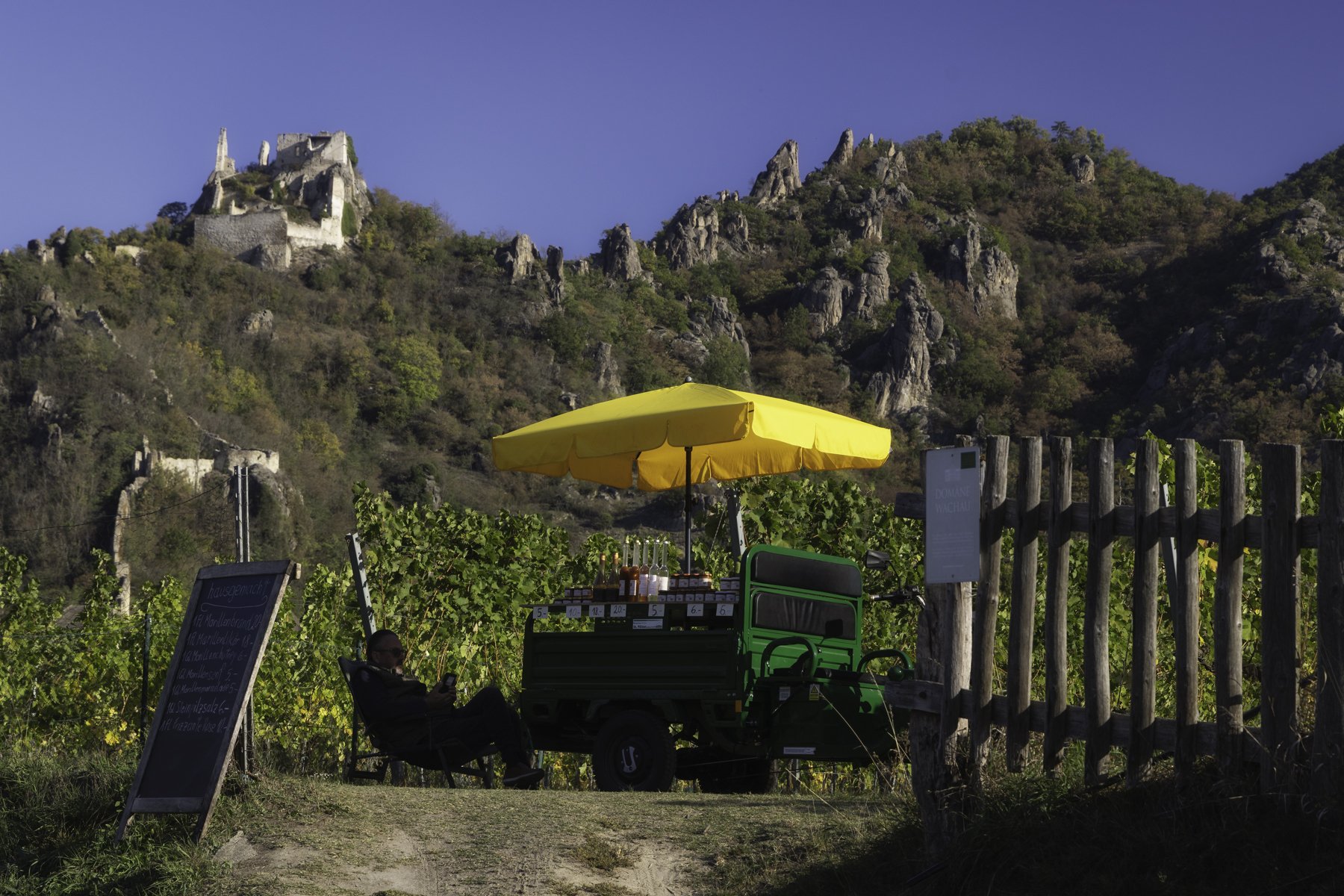 Europe D street vendor 4x6.jpg