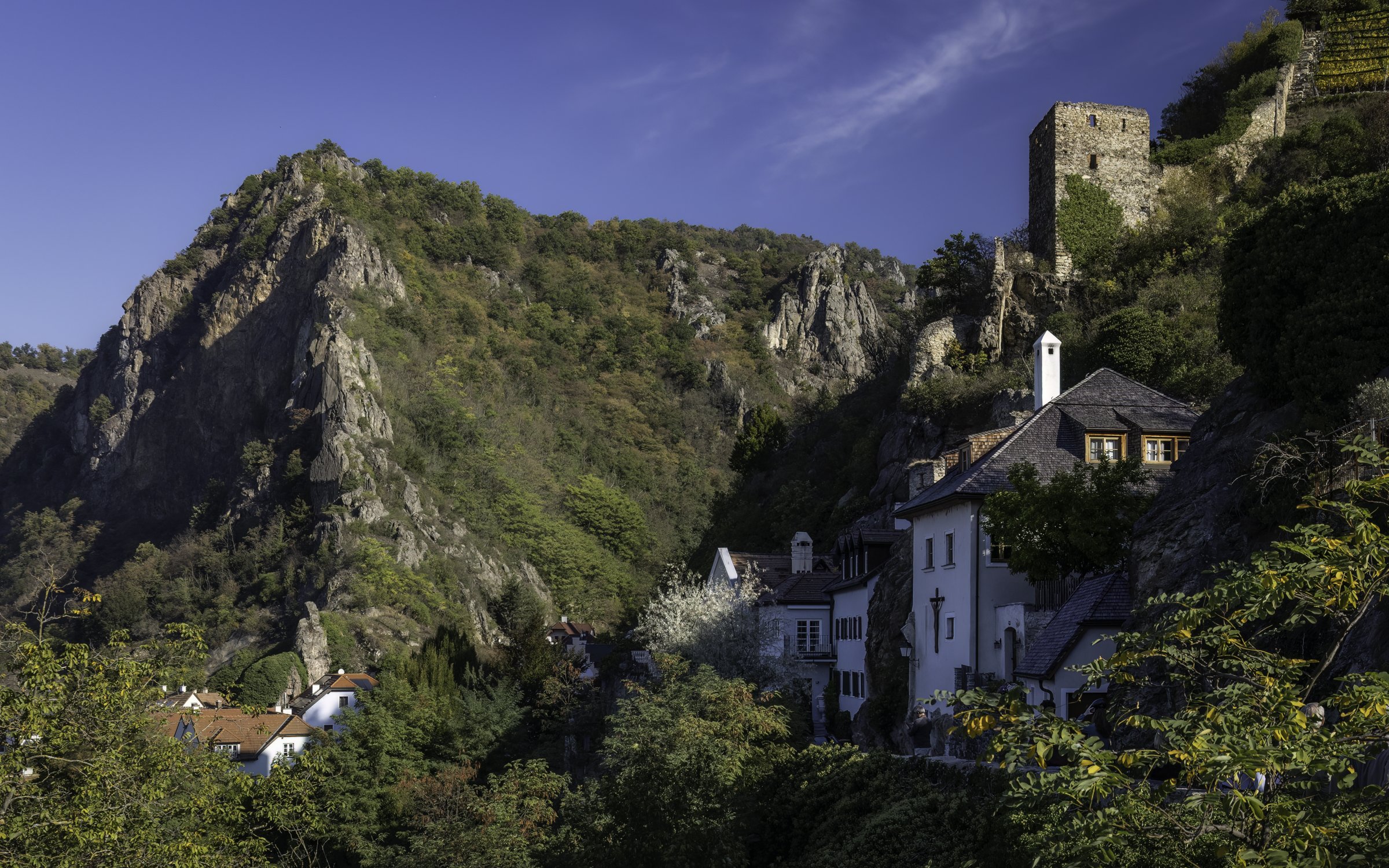 Europe mtn homes 1.jpg
