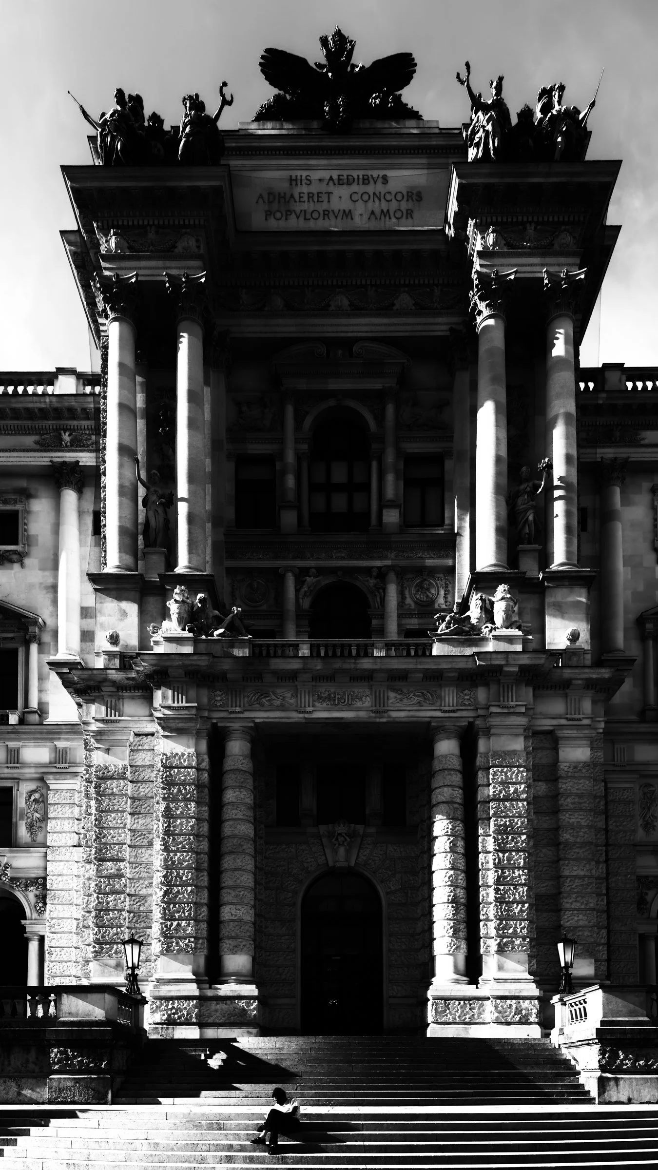 Budapest vertorama bw.jpg
