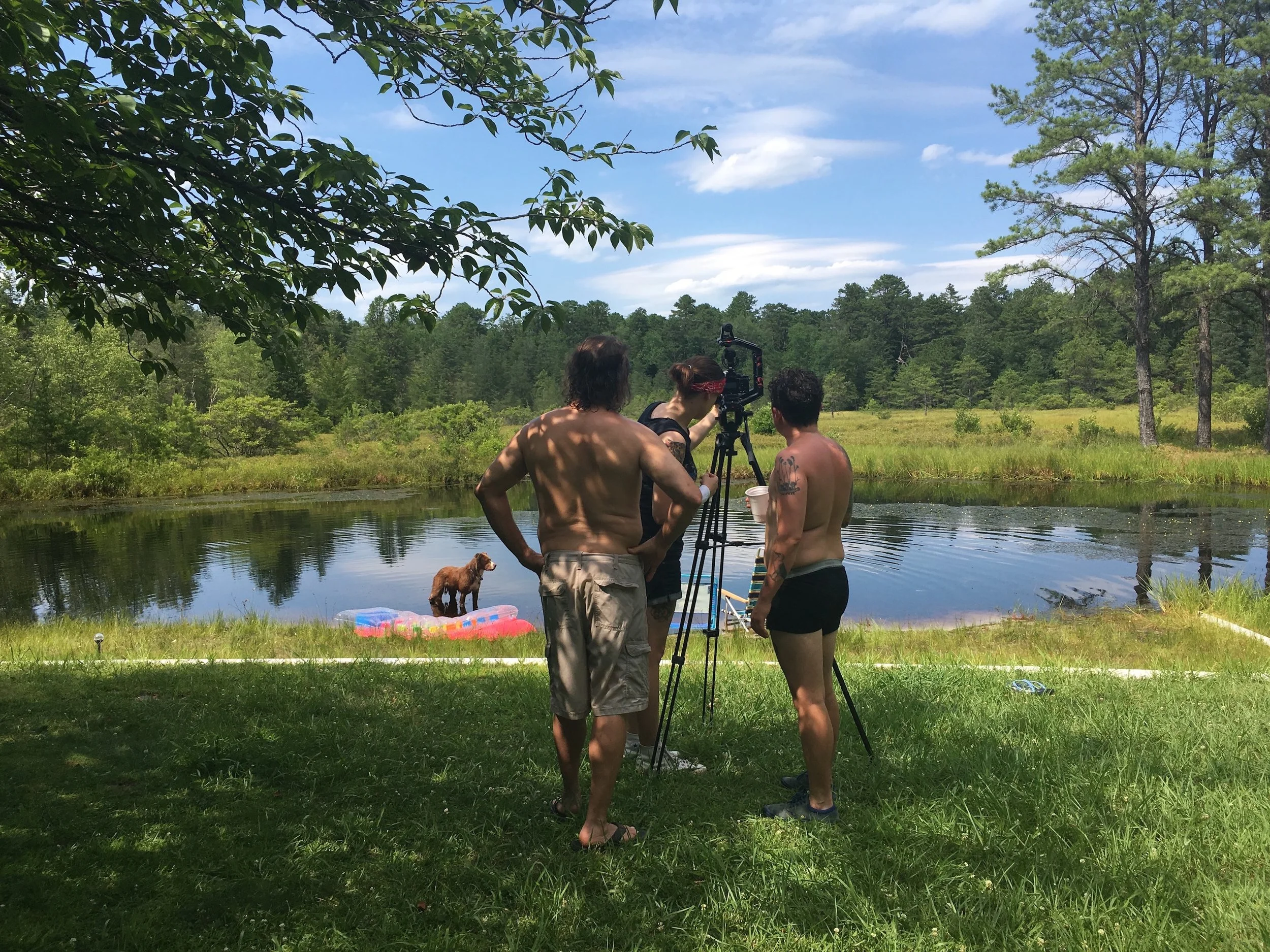 IMG_3013 WABSMALL.JPG