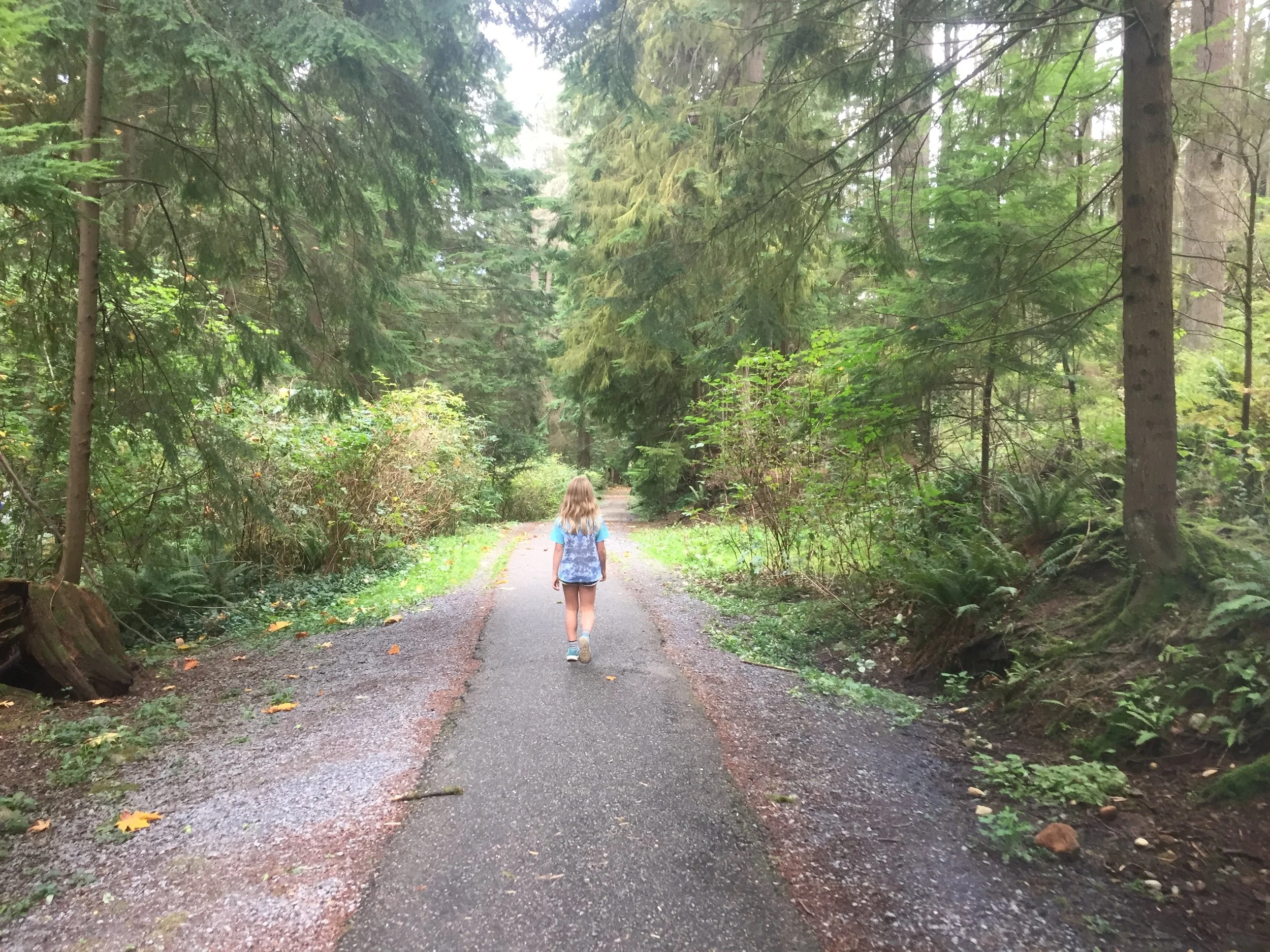 The Journey of Life: From Heart to Head to Heart