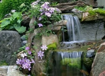 water1-368x265.jpg