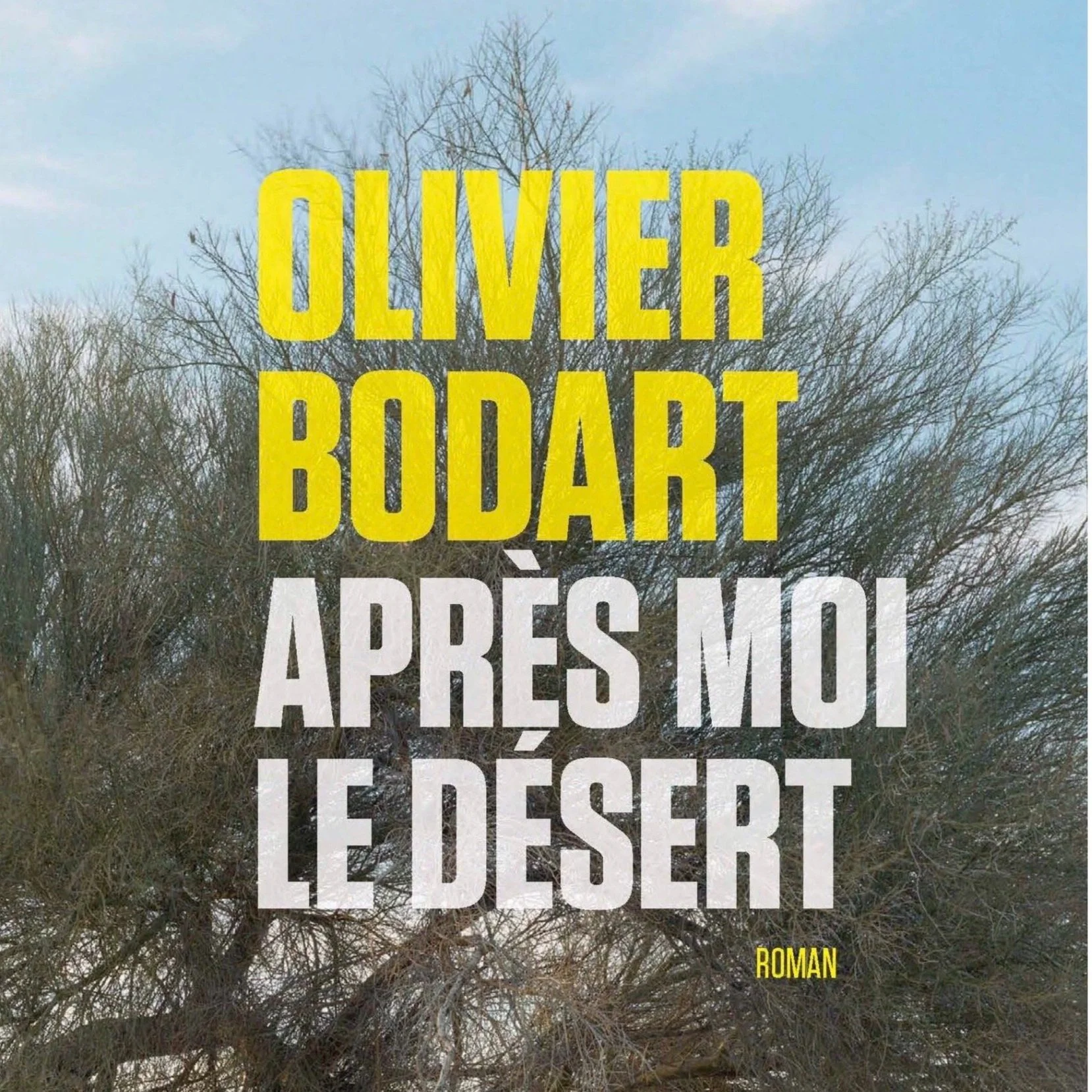 Apre%CC%80s+moi+le+de%CC%81sert+-+Olivier+Bodart.jpg