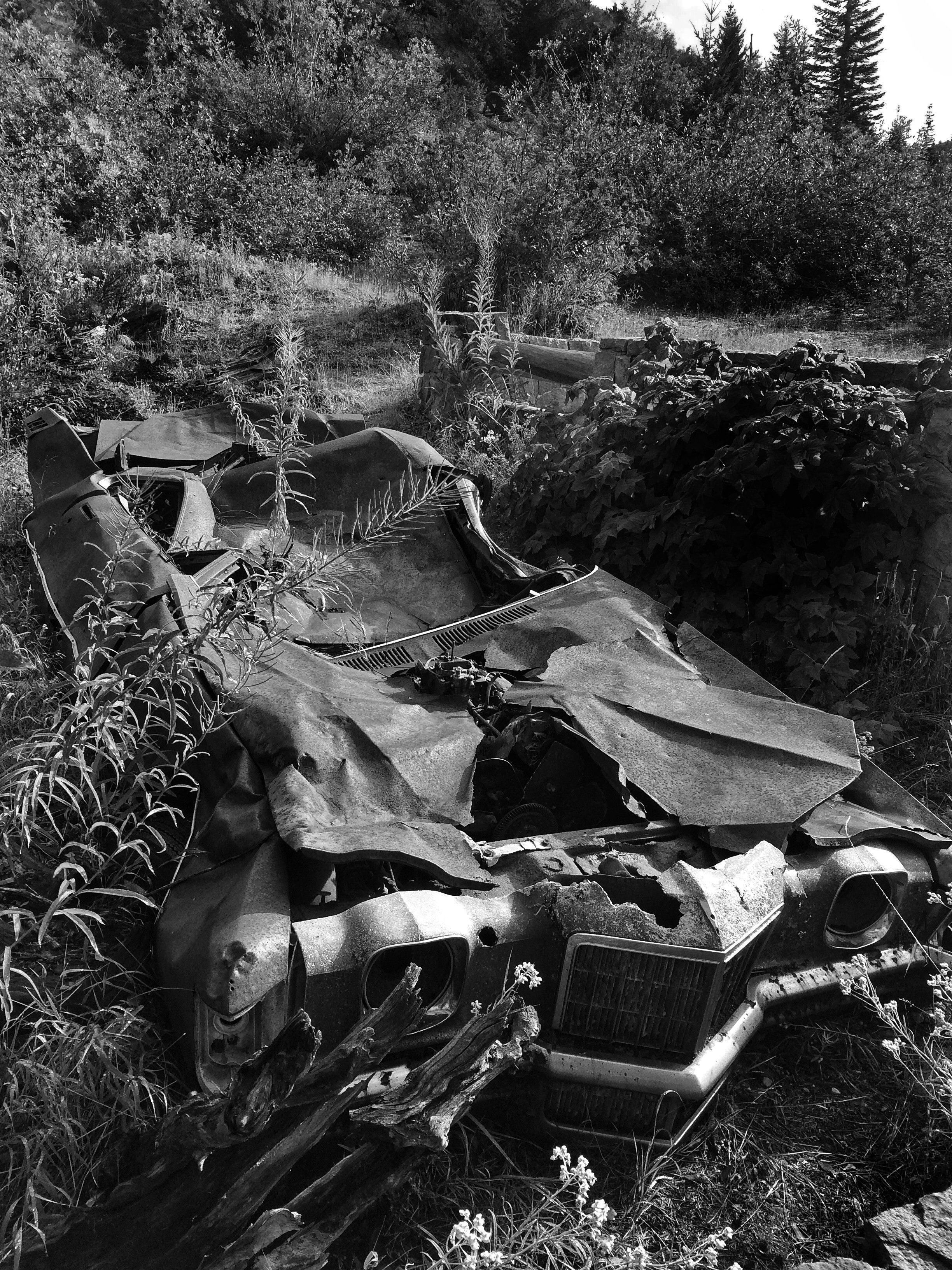 JPEG image-EE22A2050DEE-1.jpeg