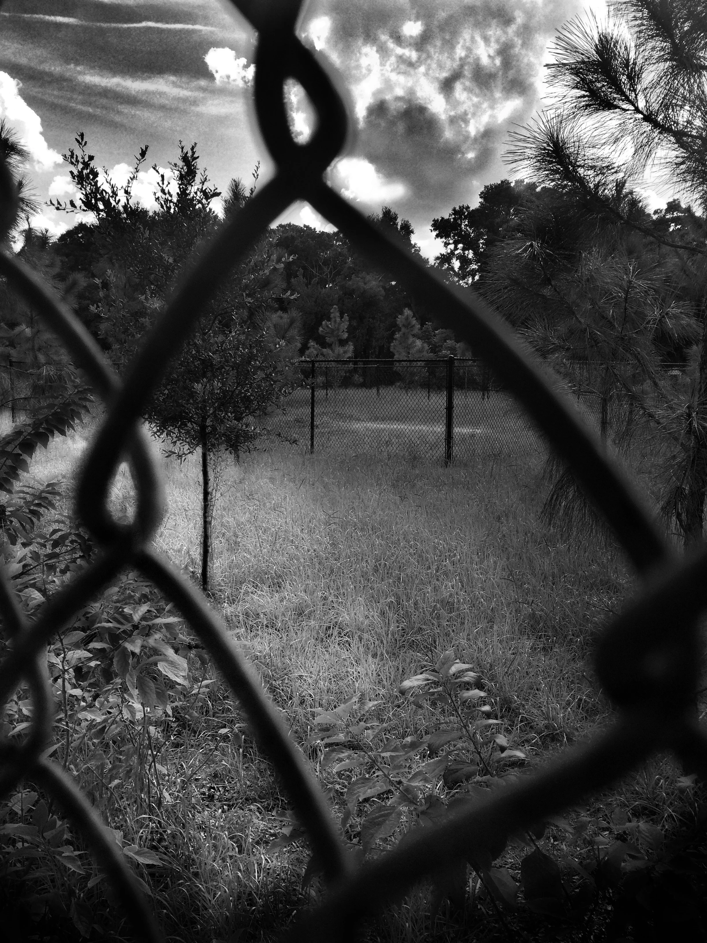 Image JPEG-60A0353A560E-1.jpeg