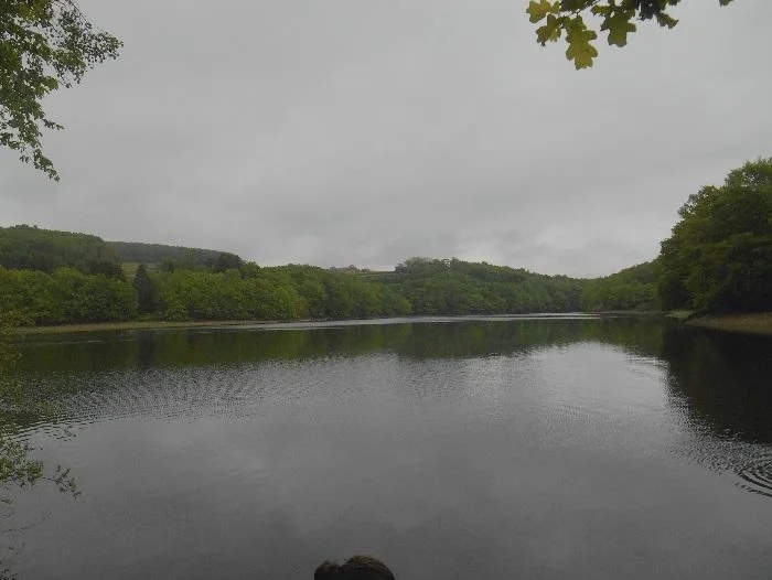 image3.jpg
