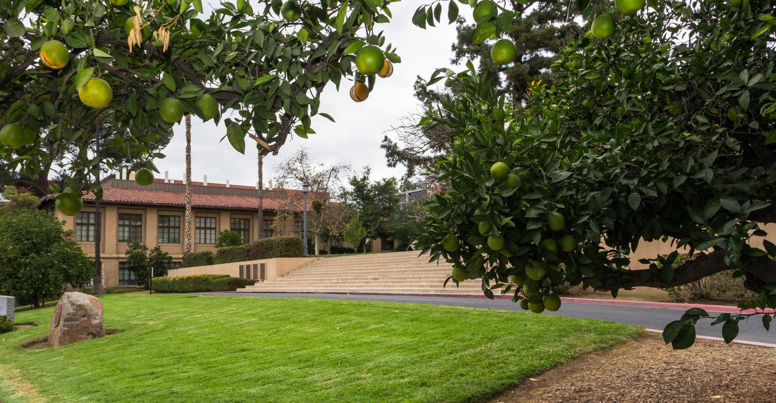 UCR_Citrus.jpg