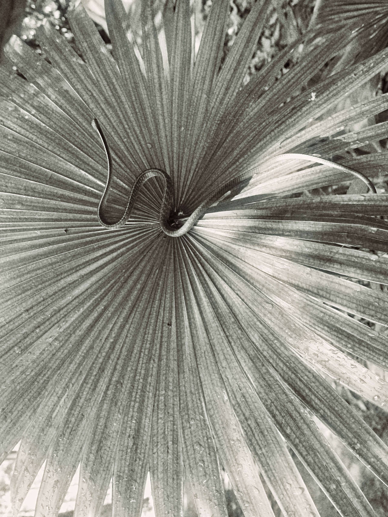 tumblr_okjx9me7GF1sjgu26o1_1280.jpg