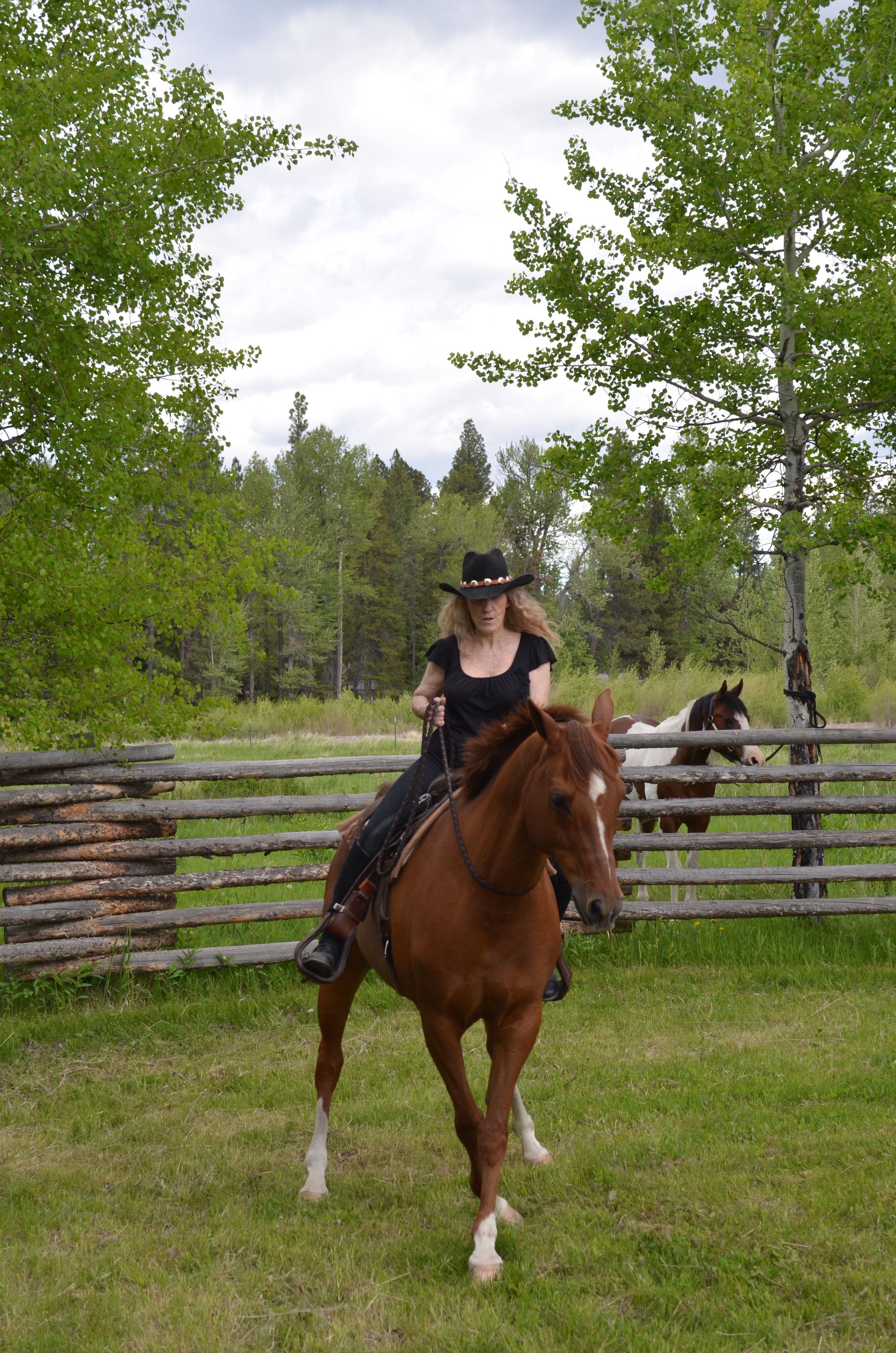 Riding Bridleless