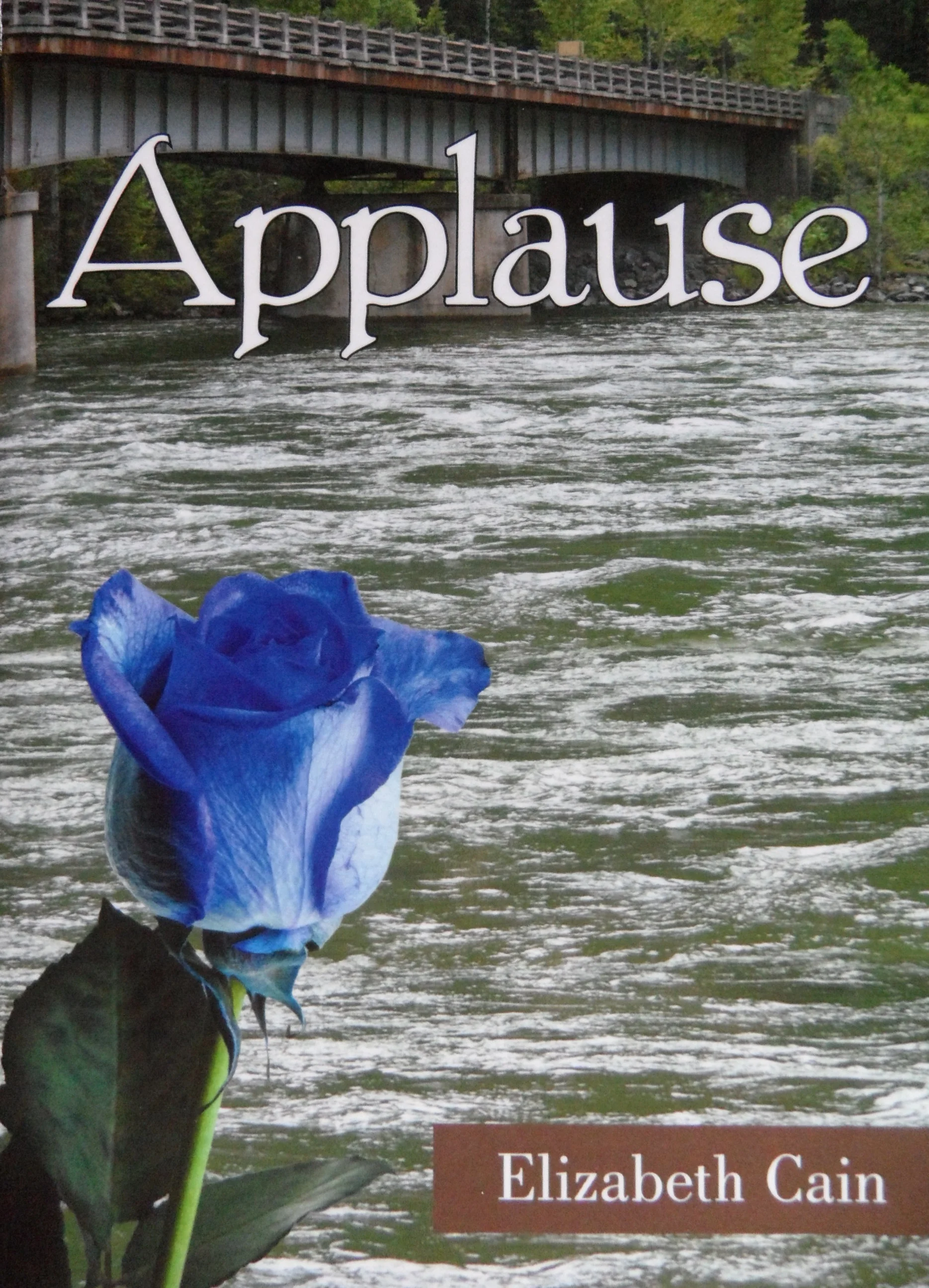 APPLAUSE - AUTHOR'S INSIGHTS