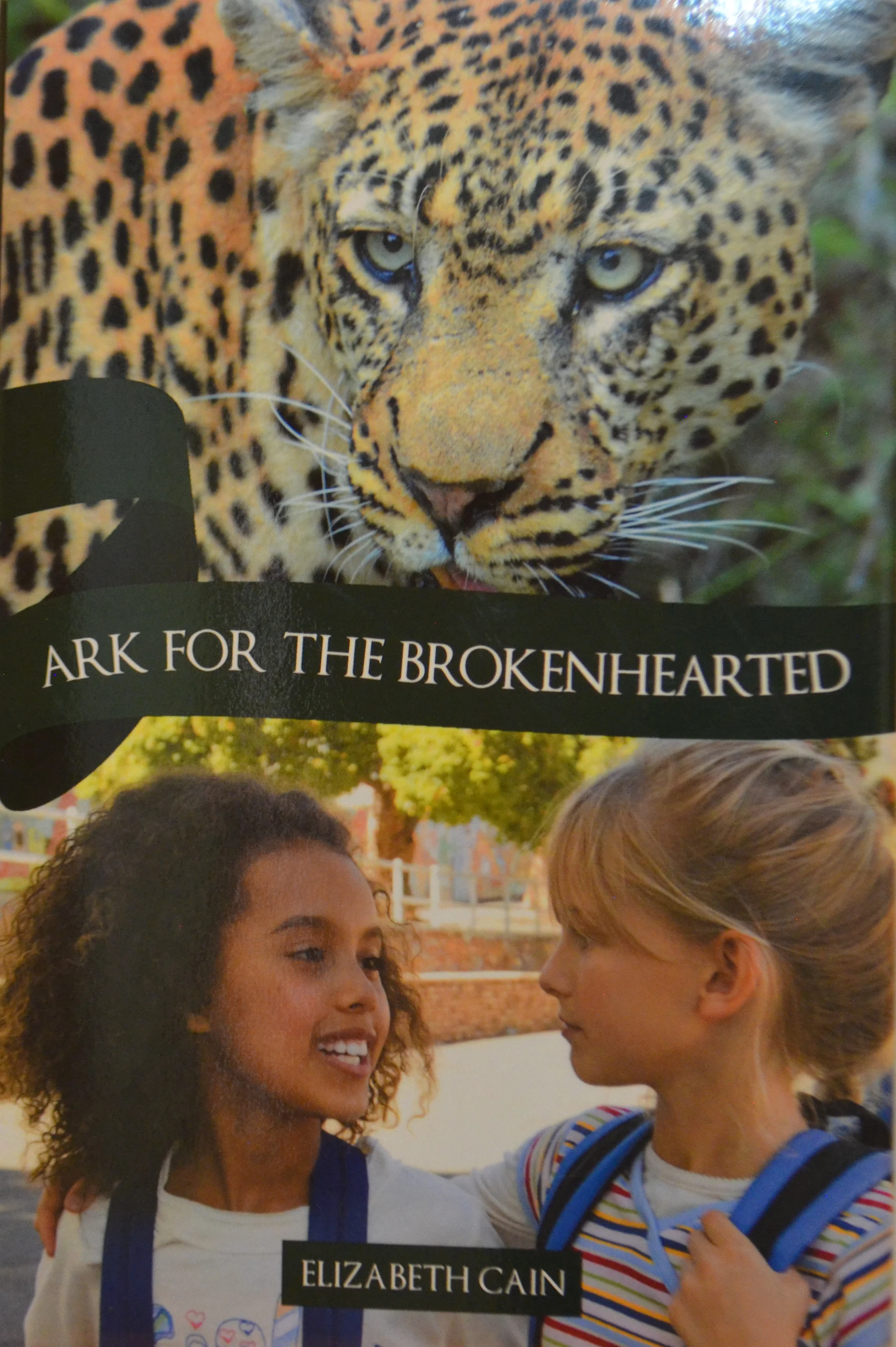 ARK FOR THE BROKENHEARTED - AUTHOR'S INSIGHTS