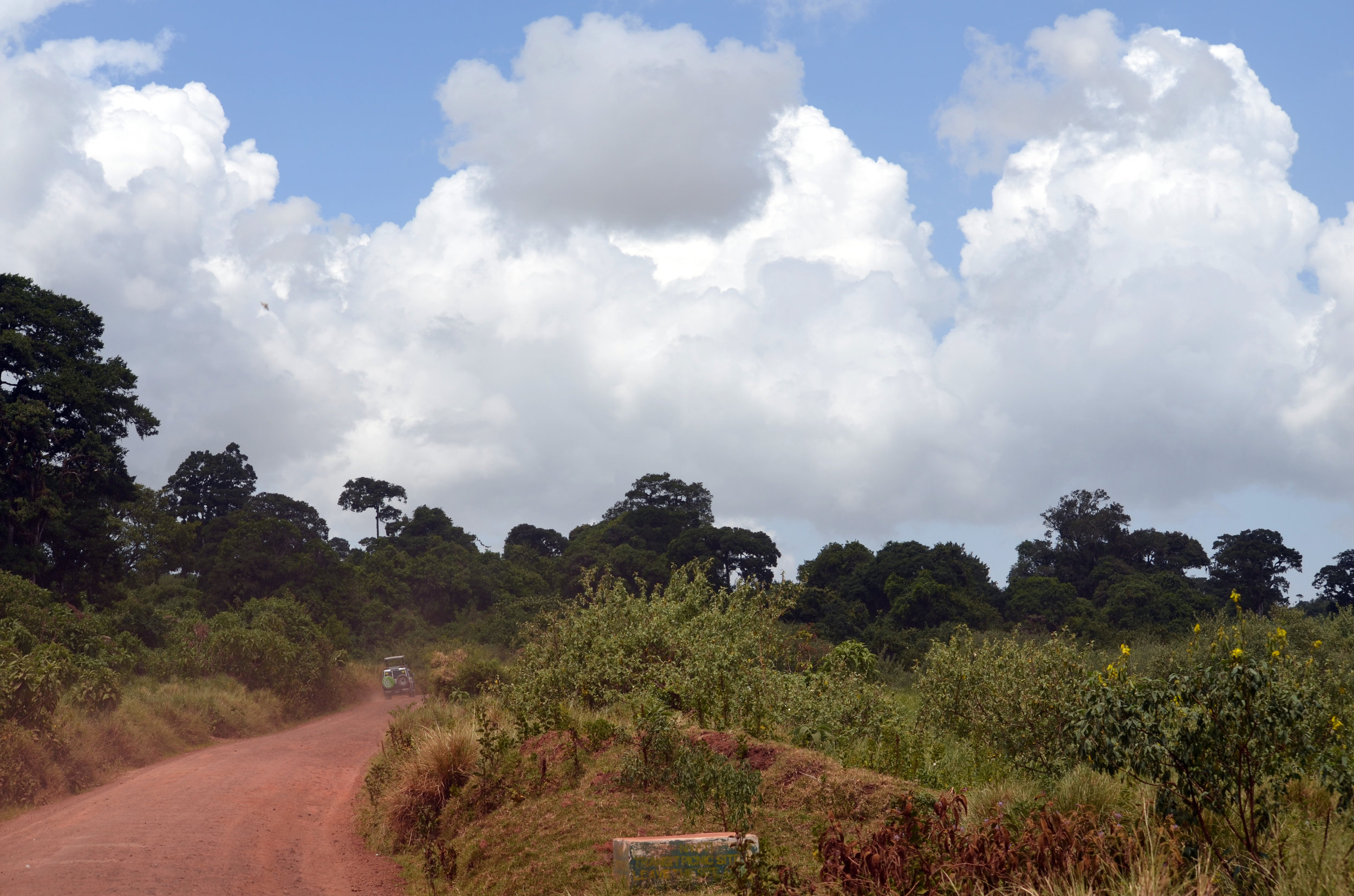 Rim of Ngorongoro Crater.JPG