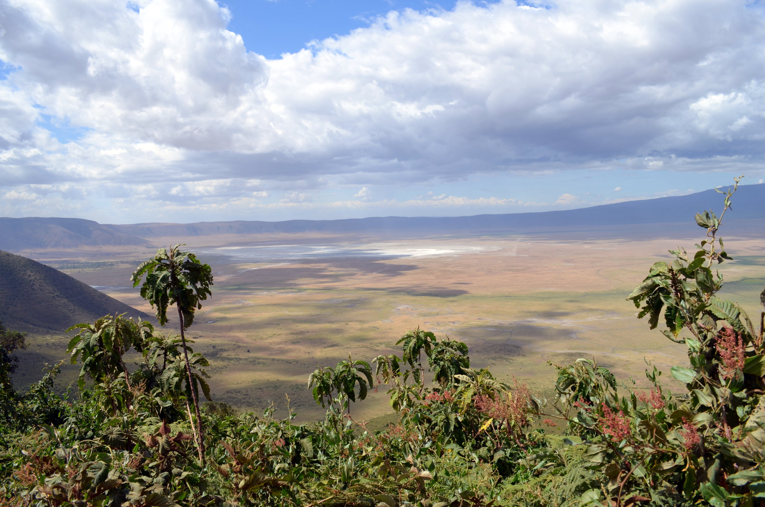 Ngnorongoro Crater.JPG