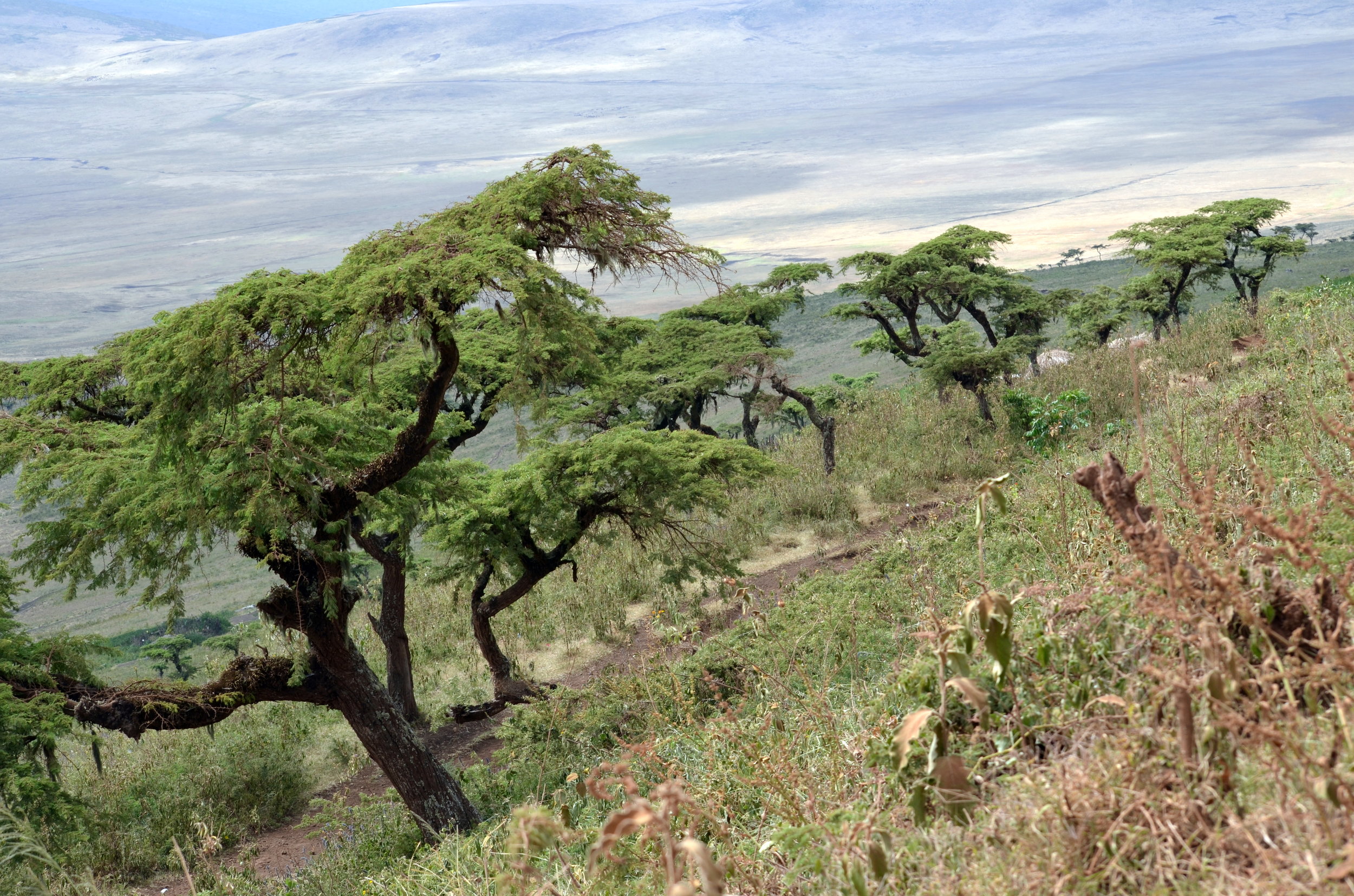Iyeala's gravesite on the rim of the Ngorongoro Crater.JPG