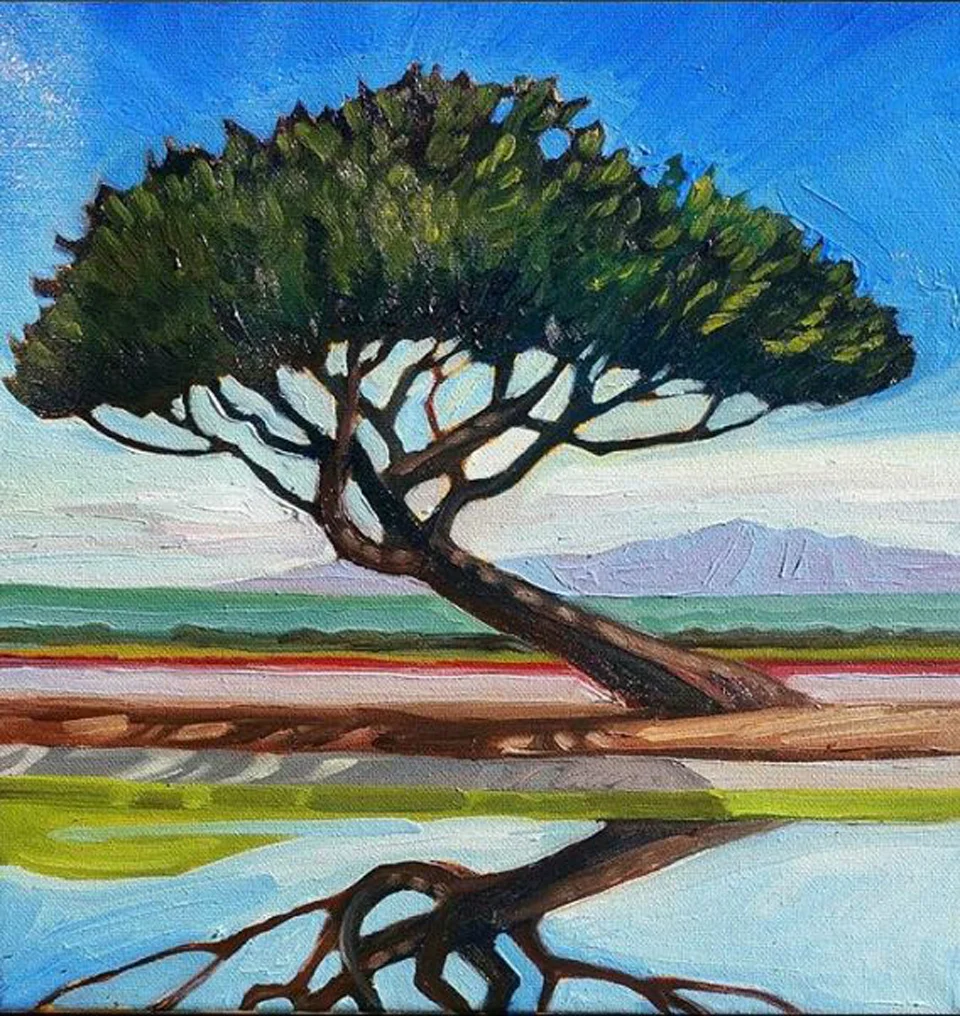 LEANING PINE, LAKE CABRILLO