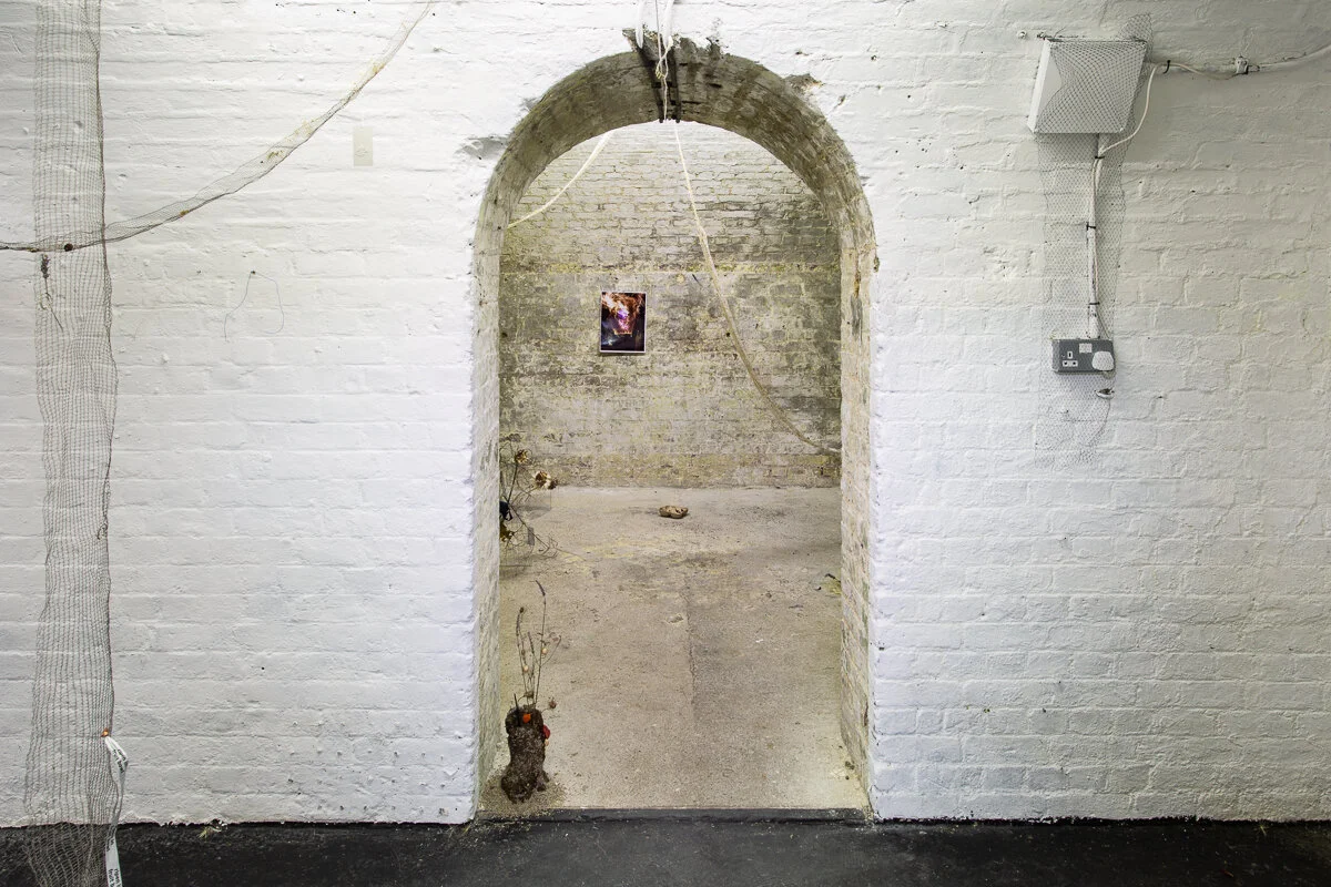 White Crypt May Hands Best Before End (Low Res)-1.jpg