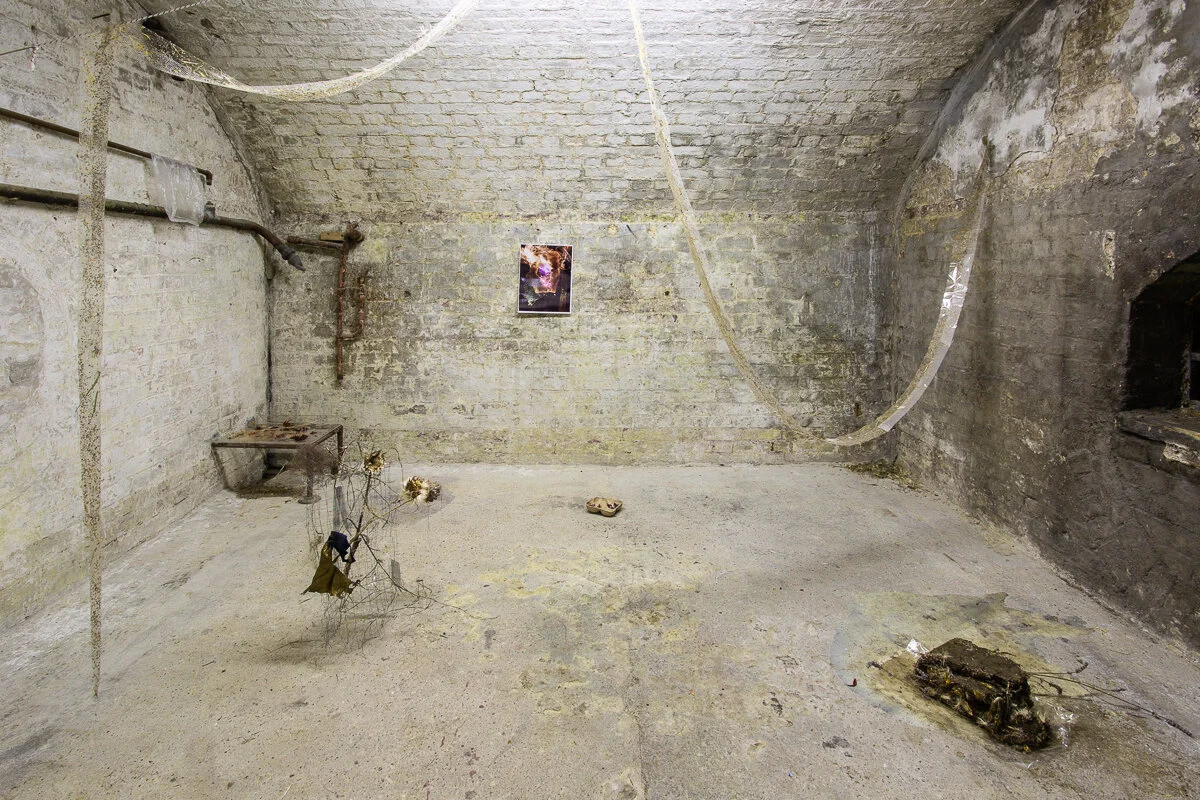 May Hands solo exhibition — WHITE CRYPT