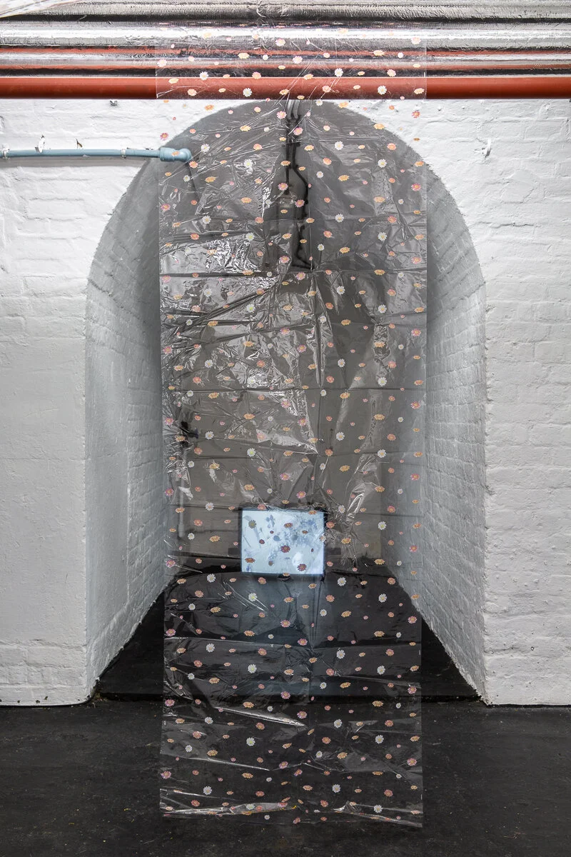May Hands solo exhibition — WHITE CRYPT