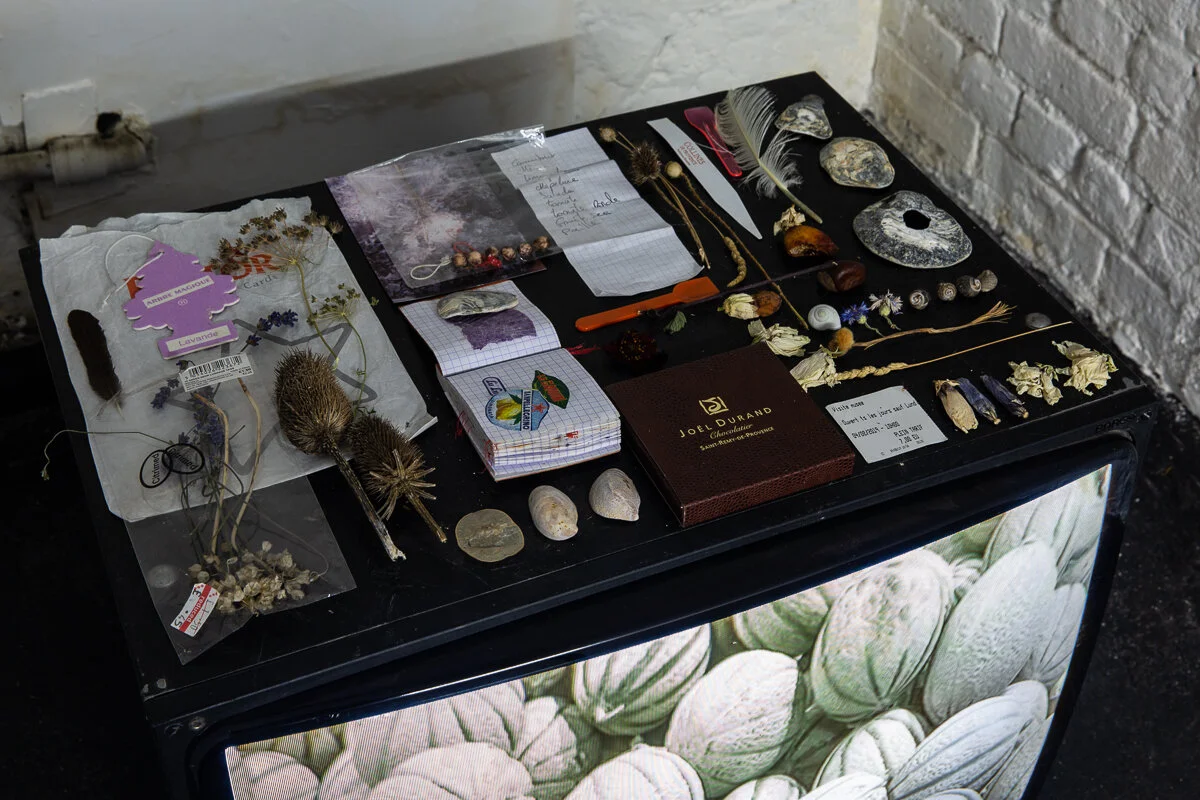 May Hands solo exhibition — WHITE CRYPT