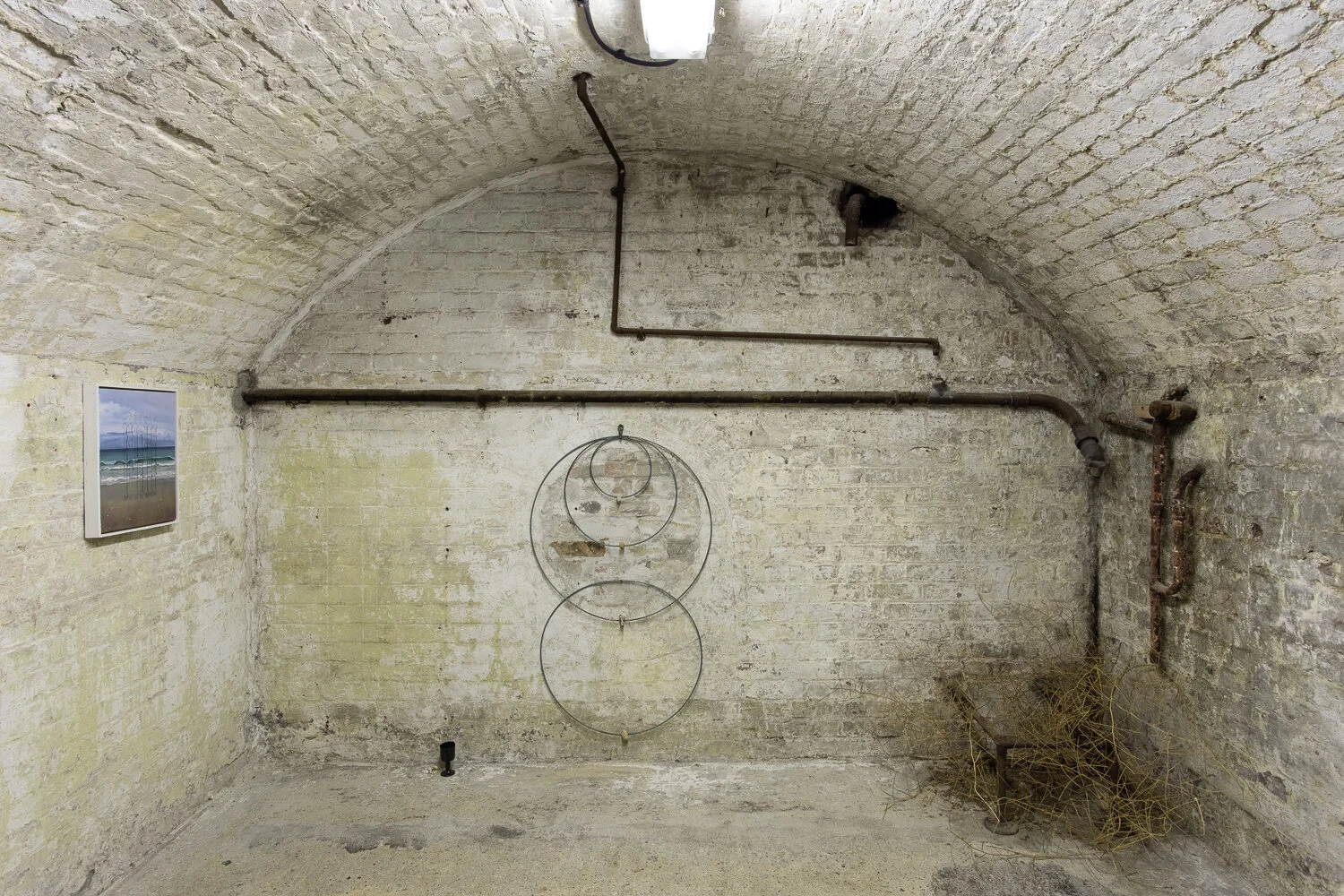 Sponde's Garden — WHITE CRYPT