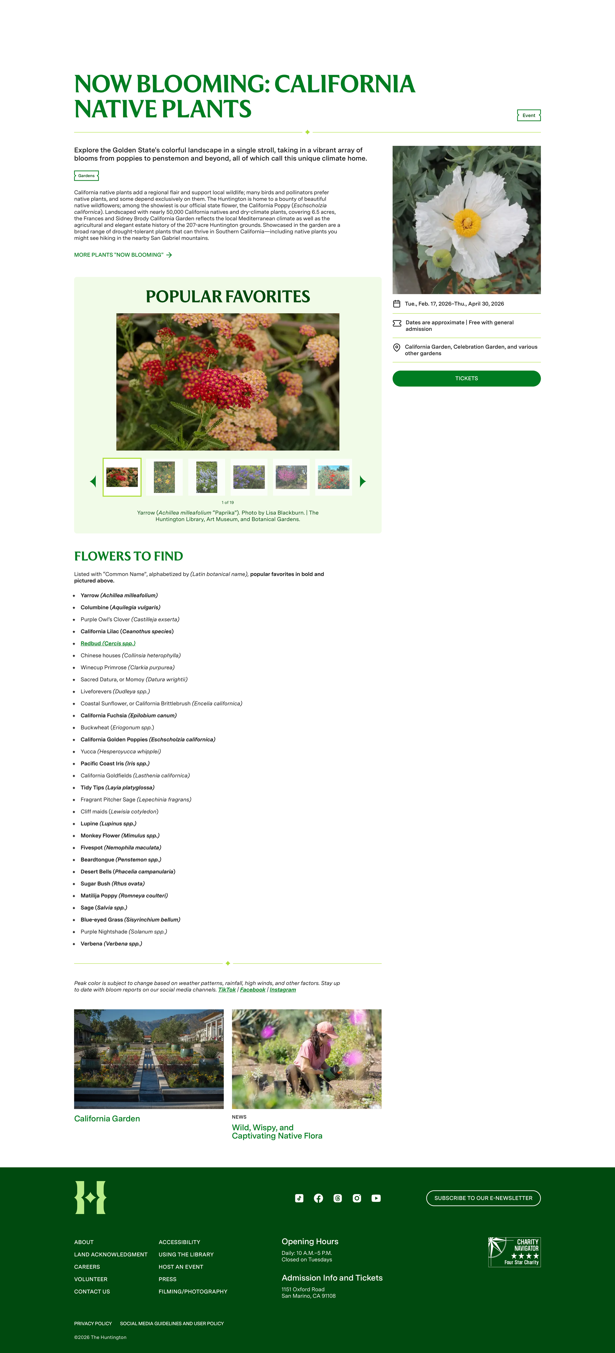 Now Blooming: California Native Plants | The Huntington.png