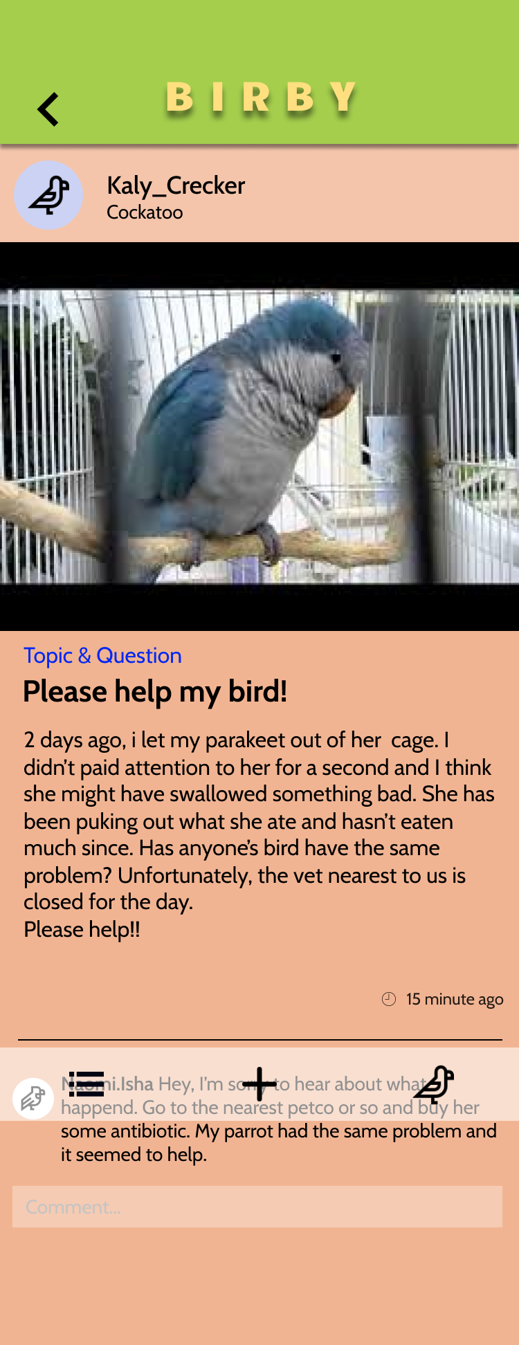 nearest bird vet