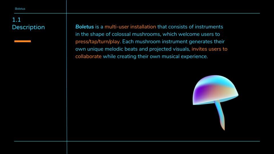 Boletus Presentation 3.jpg