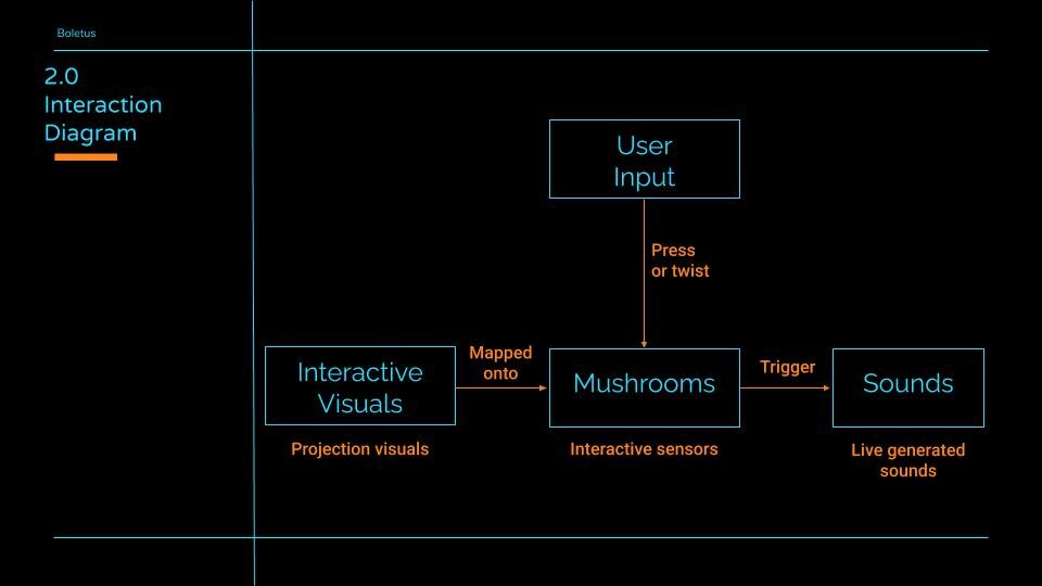 Boletus Presentation 8.jpg