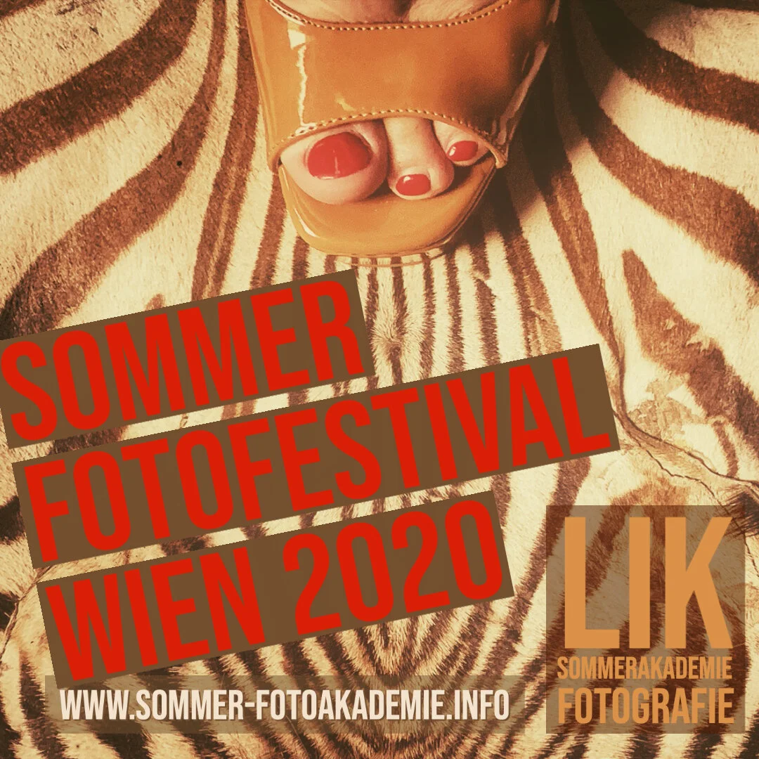 Infoabend Sommer Fotofestival Wien