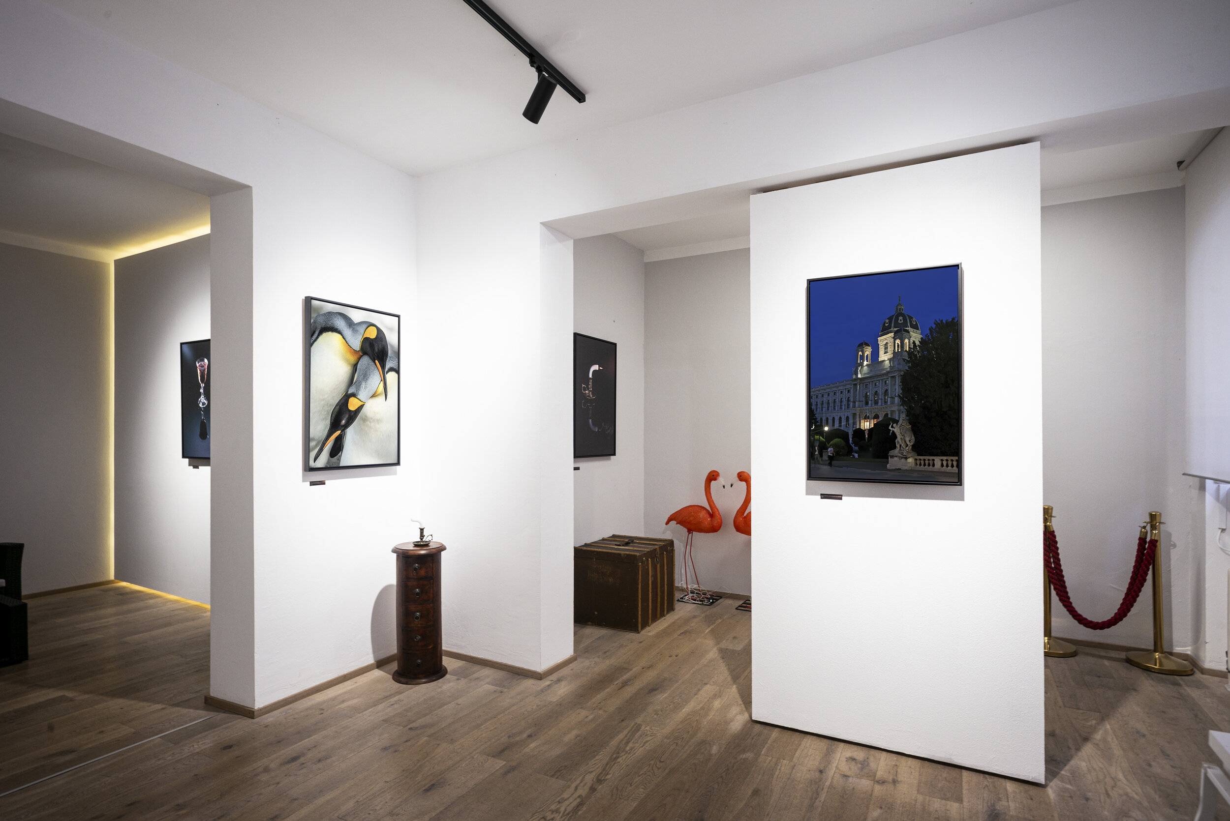 Zeige deine besten Fotos beim Sommer Fotofestival in Wien! - Show Your best Photos at the Vienna Summer Photo Festival!
