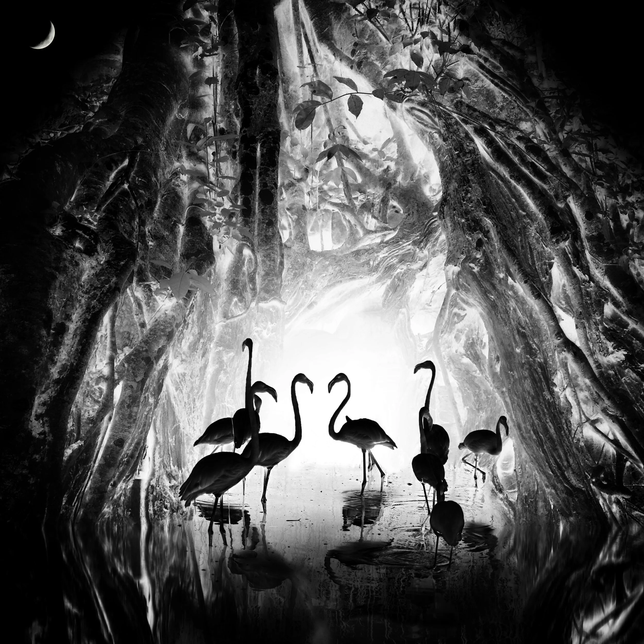 Shortlist  Black+White  Photography - Vienna International Photo Award