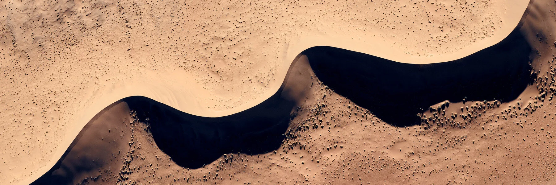Our World - the Beauty of Nature: Die Nominierten sind veröffentlicht!