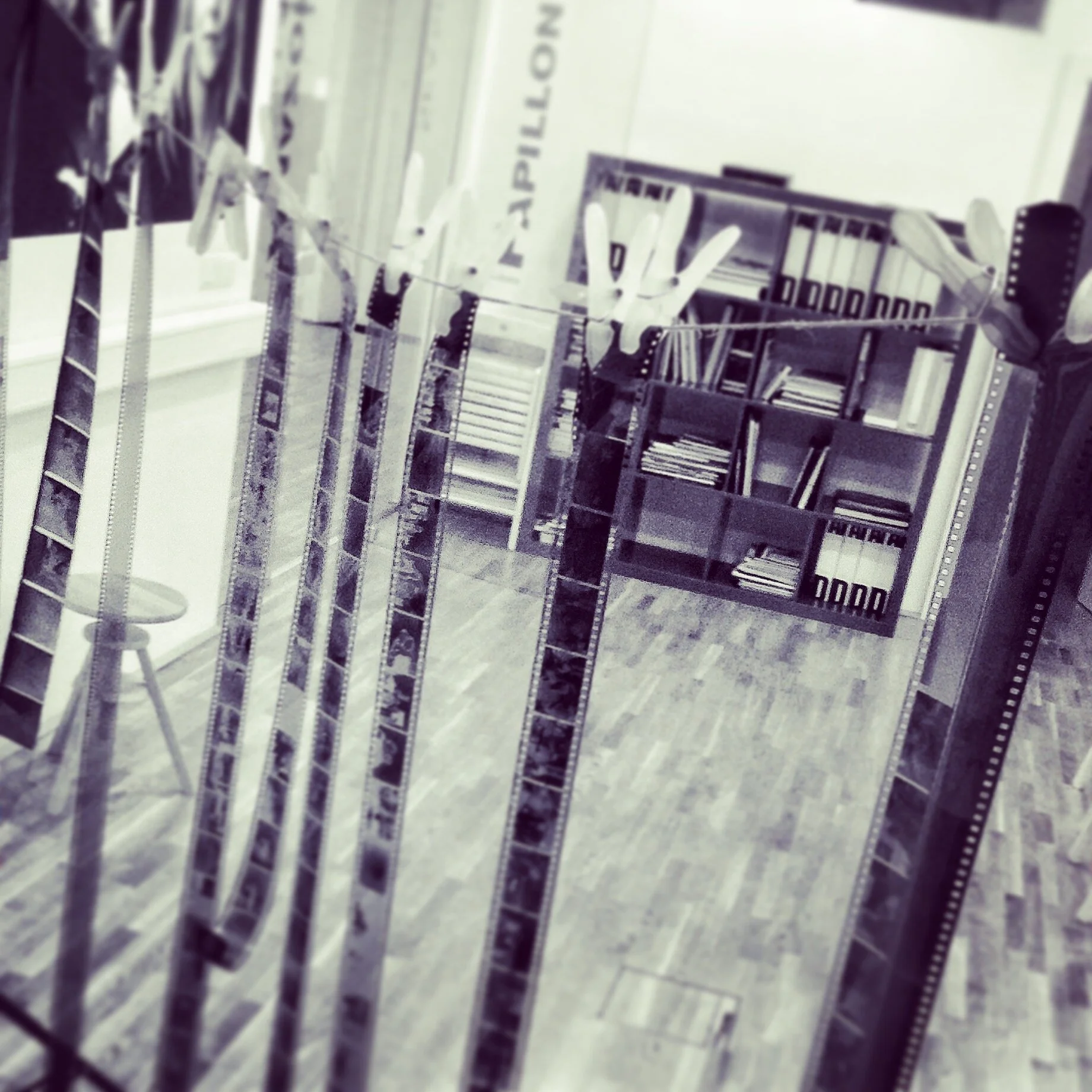 Foto Workshop Analoge Fotografie 