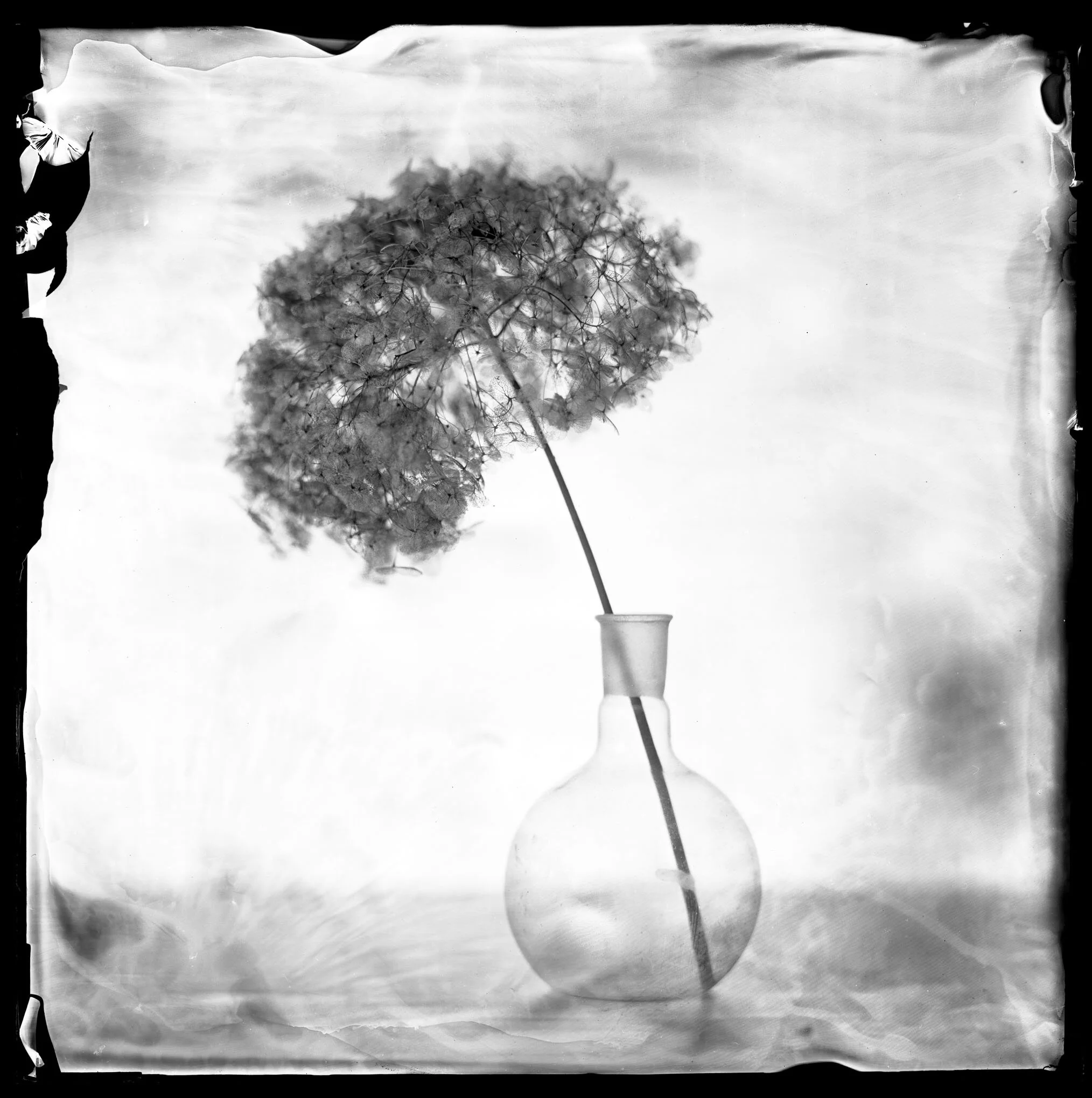 Honorable Mention für Peter Eleveld in der Sparte Black &amp; White