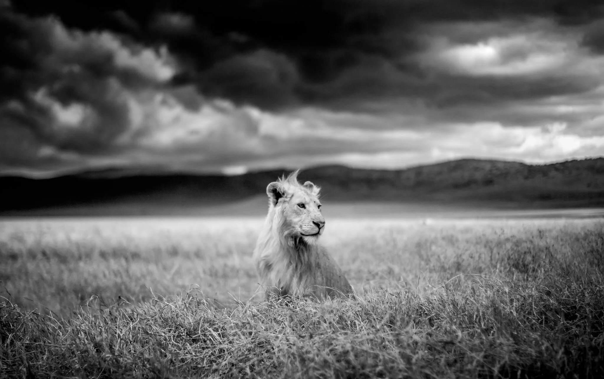 Die Shortlist der Finalisten des VIEPA 2021 Awards in der Sparte "Black &amp; White" stehen fest!