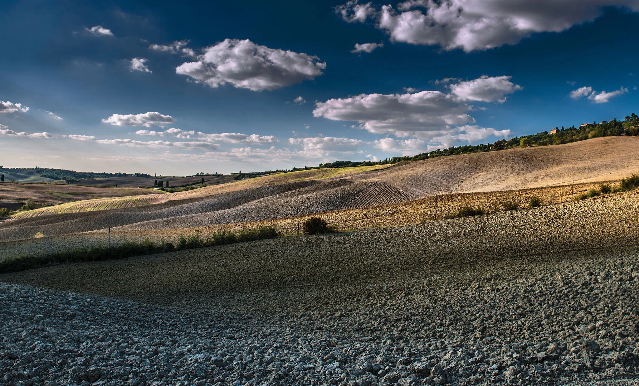 balari judith  Italy  Tuscany- Italy.jpg