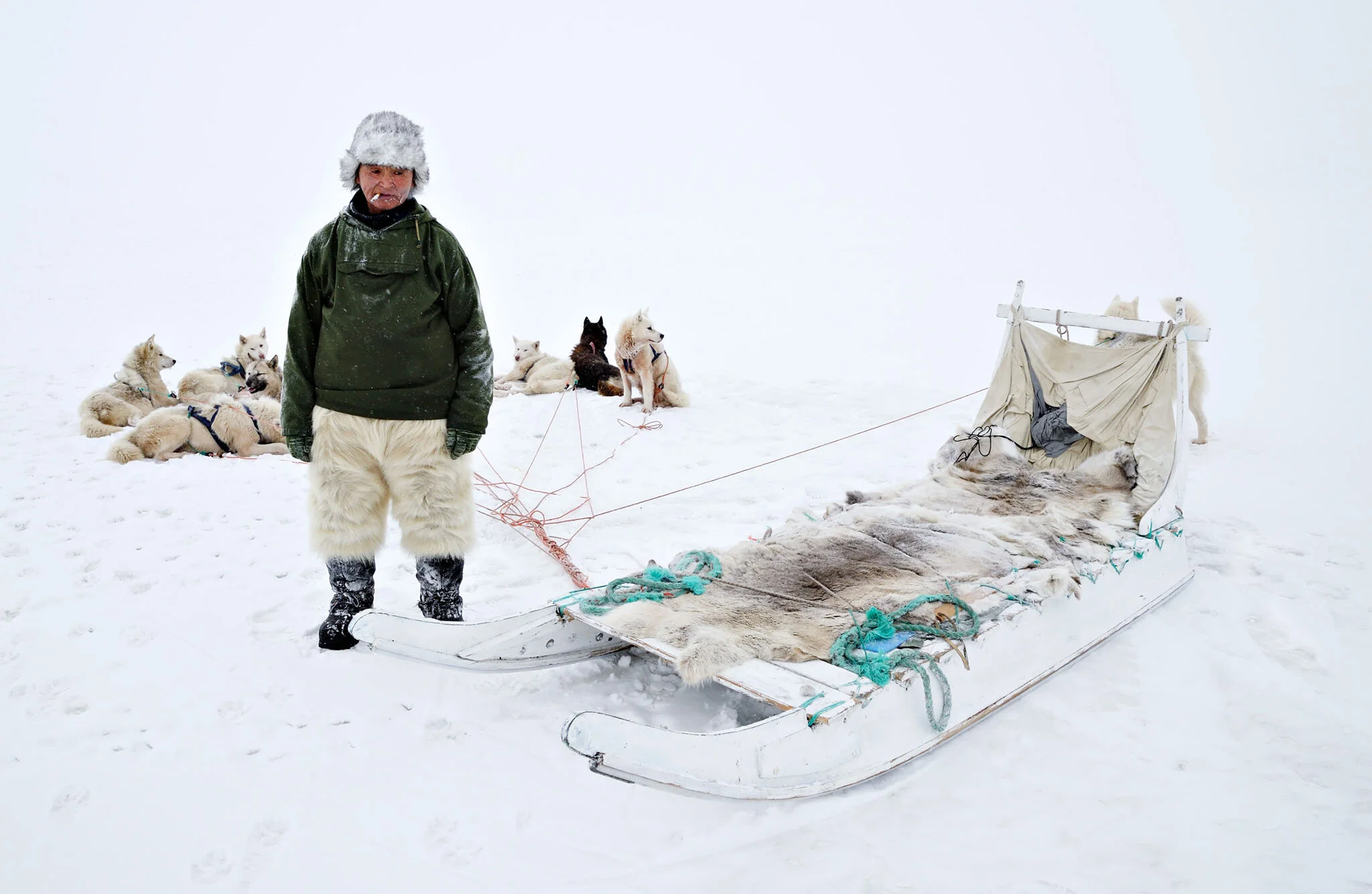 Fürnrohr Stephan  Germany  Dogsled at Whiteout.jpg