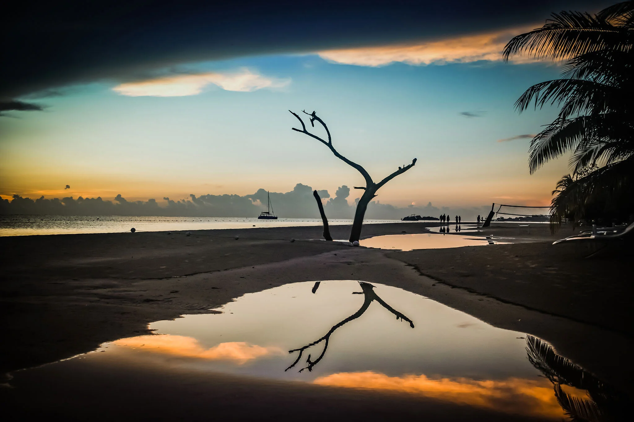 Gebhardt Martin  Germany  After the rain.jpg