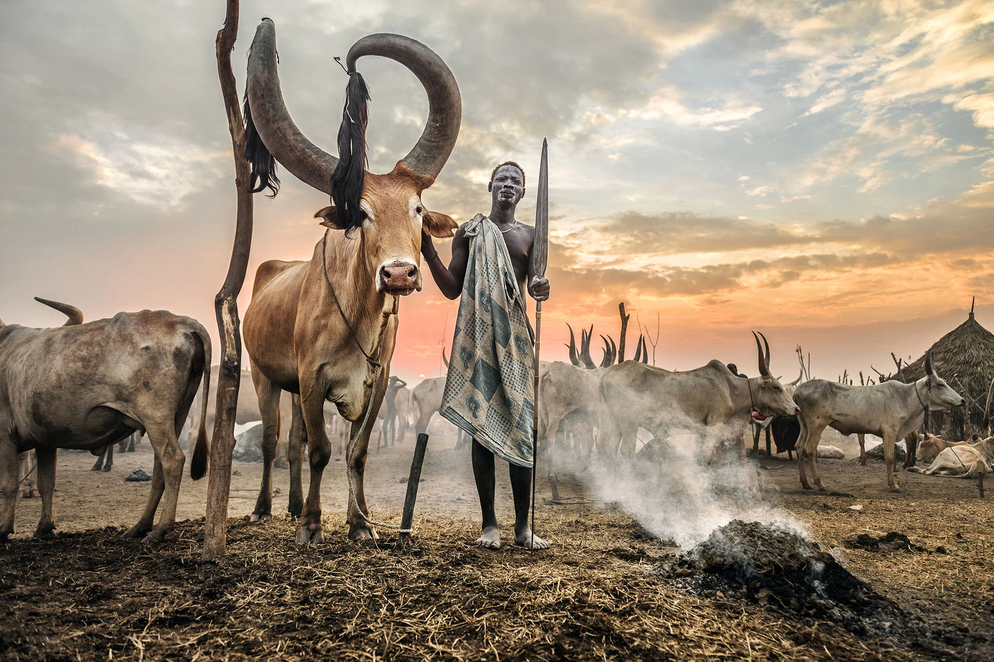 Pazzi Roberto  Spain  The King of the Cattle.jpg