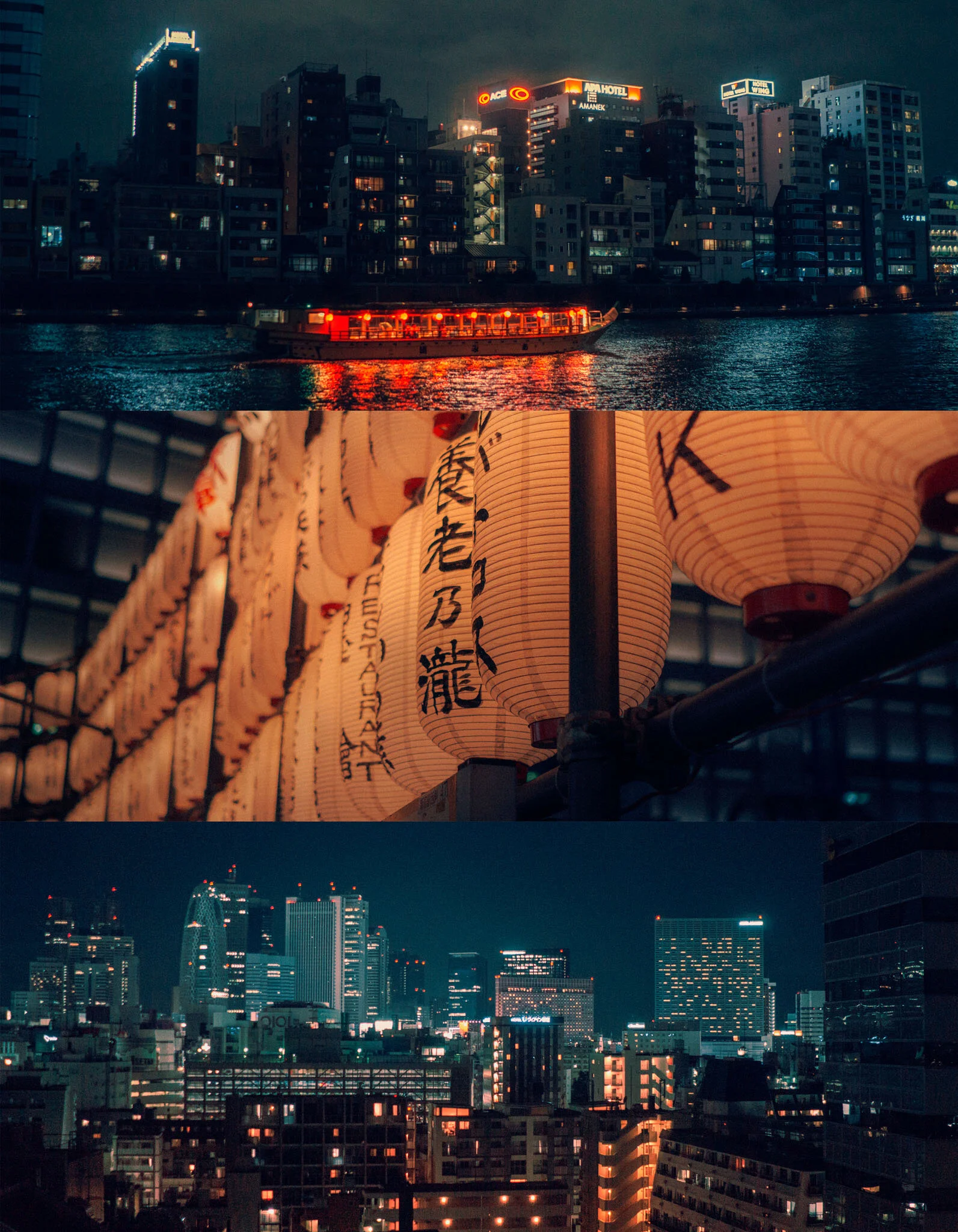 Rainer Alex  Italy  Bladerunner - TOKYO.jpg