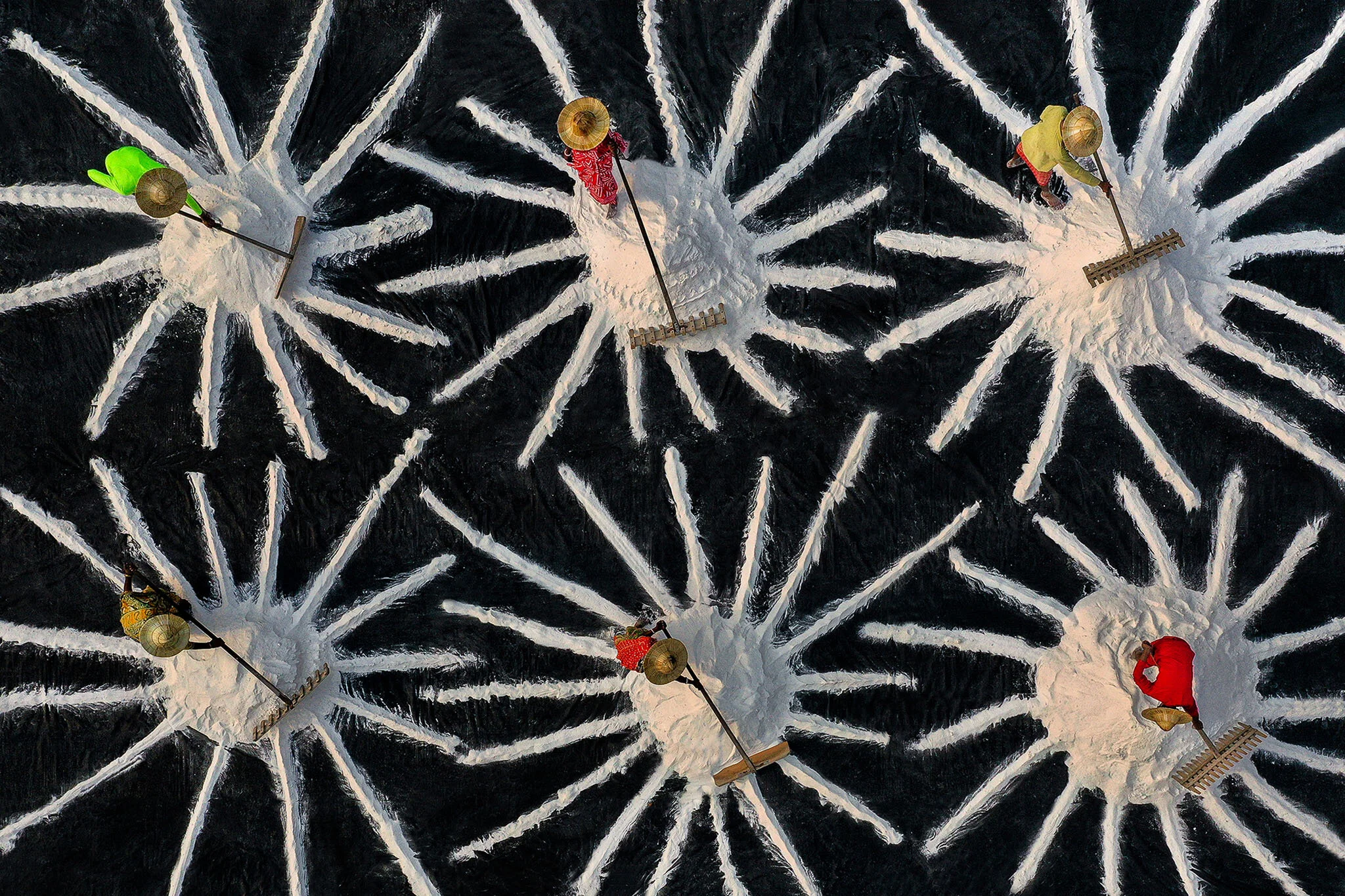 Sirohiya Saurabh  India  Salt Farm Workers Harvesting.jpg