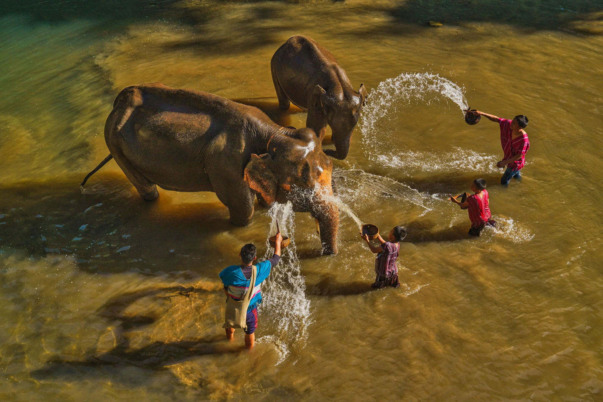 wouters Sarah  Thailand  Bathing the elephants.jpg