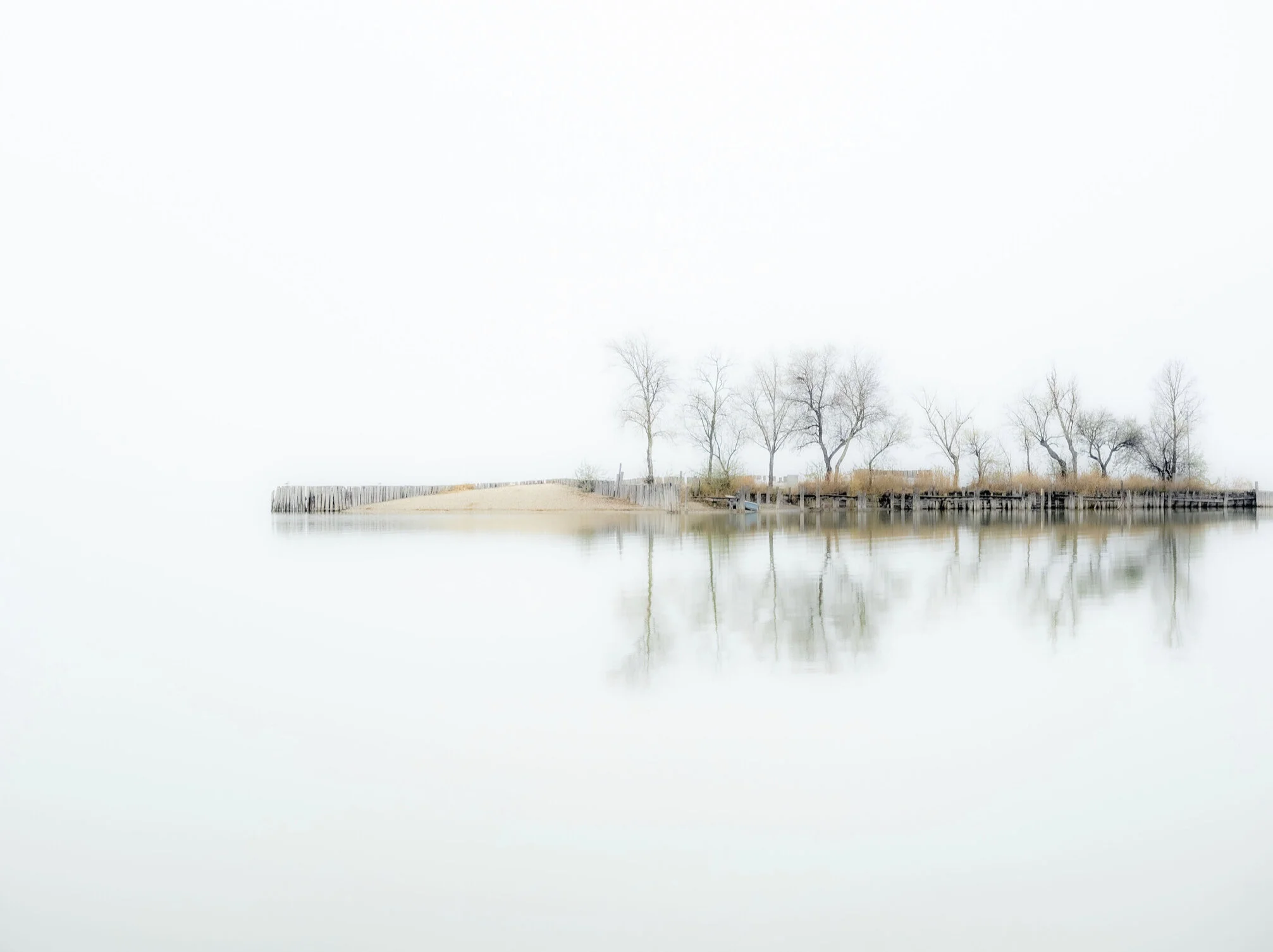 Our World - the Beauty of Nature - das sind die VIEPA 2021 Gewinner!